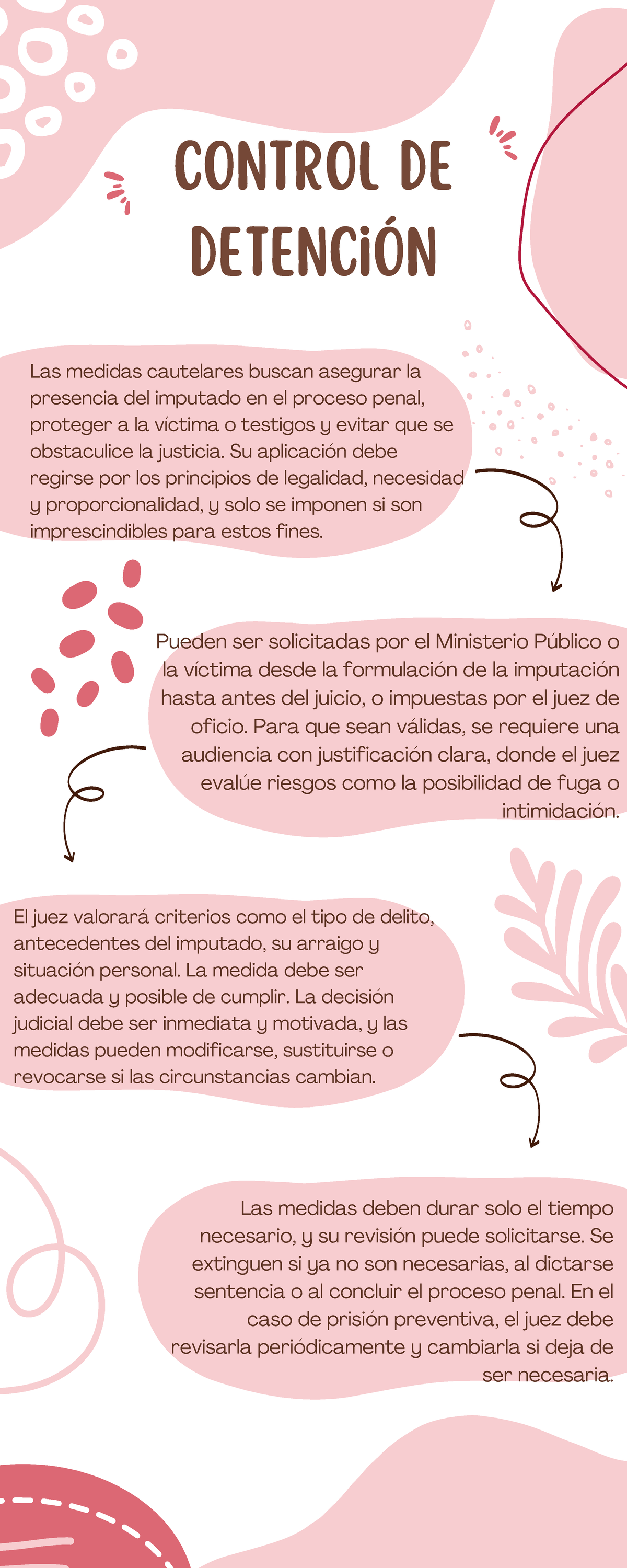 Control de Detención: Medidas Cautelares en el Proceso Penal - Studocu