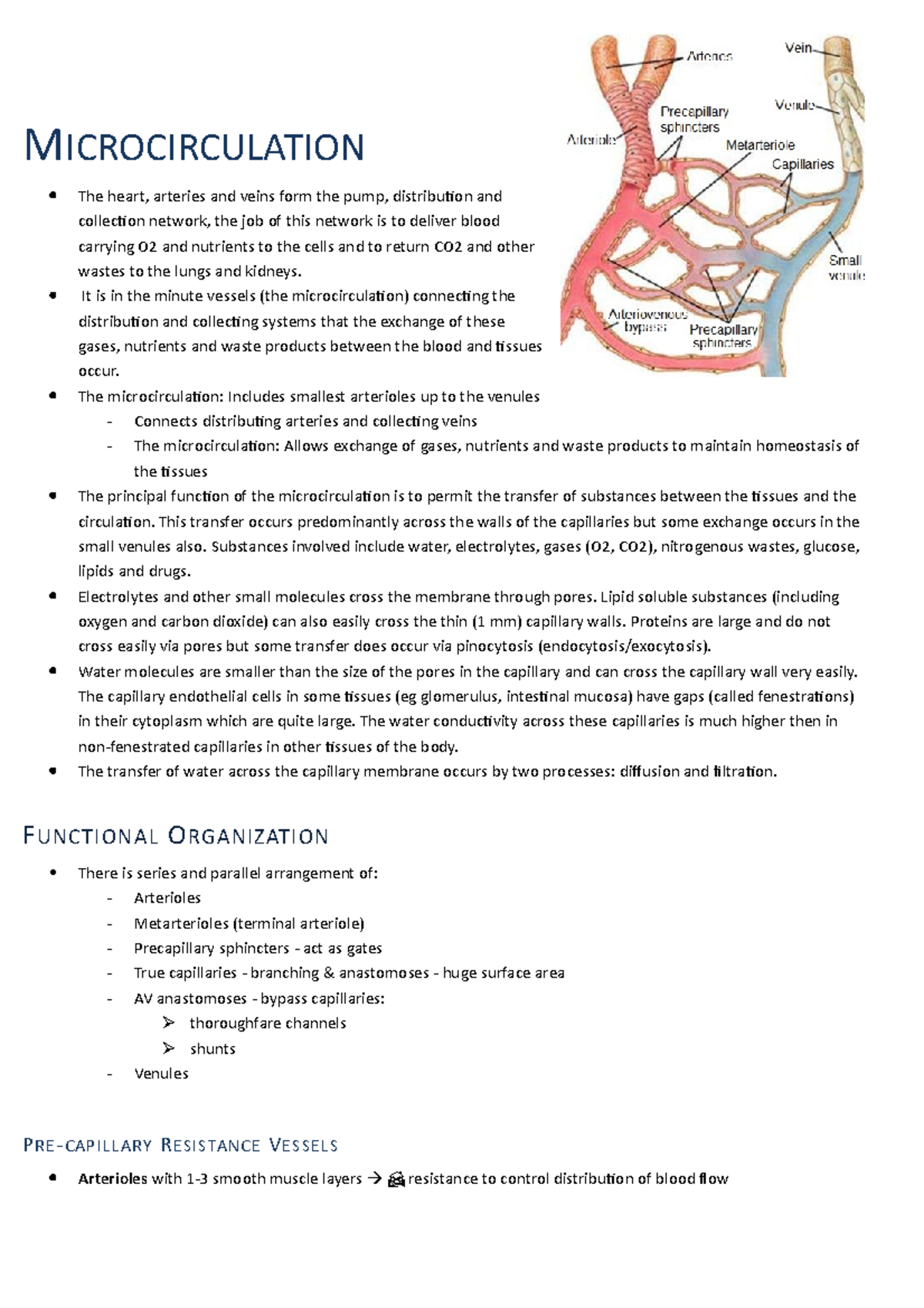 Lecture 25: Understanding Microcirculation and Its Functions - Studocu