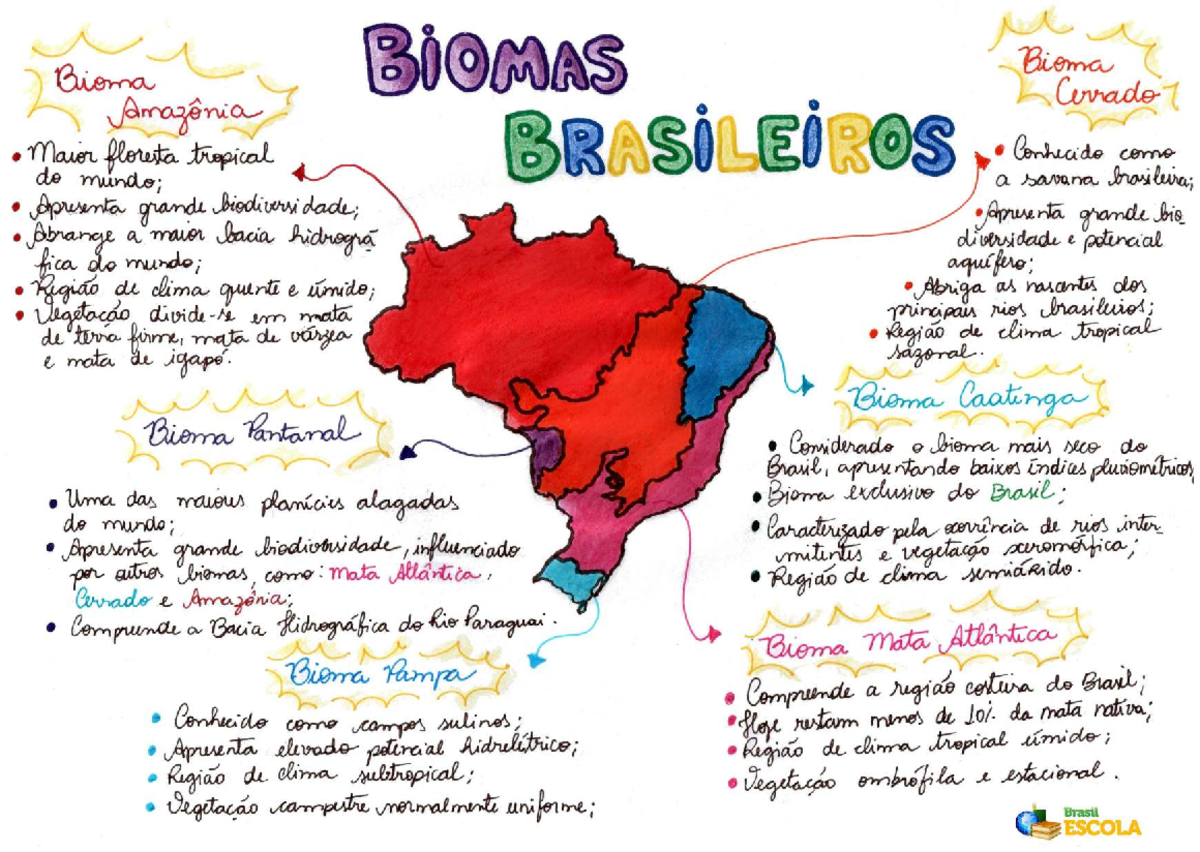 Biomas-brasileiros - Mapa mental sobre biomas brasileiros - . fkcﬁ ...
