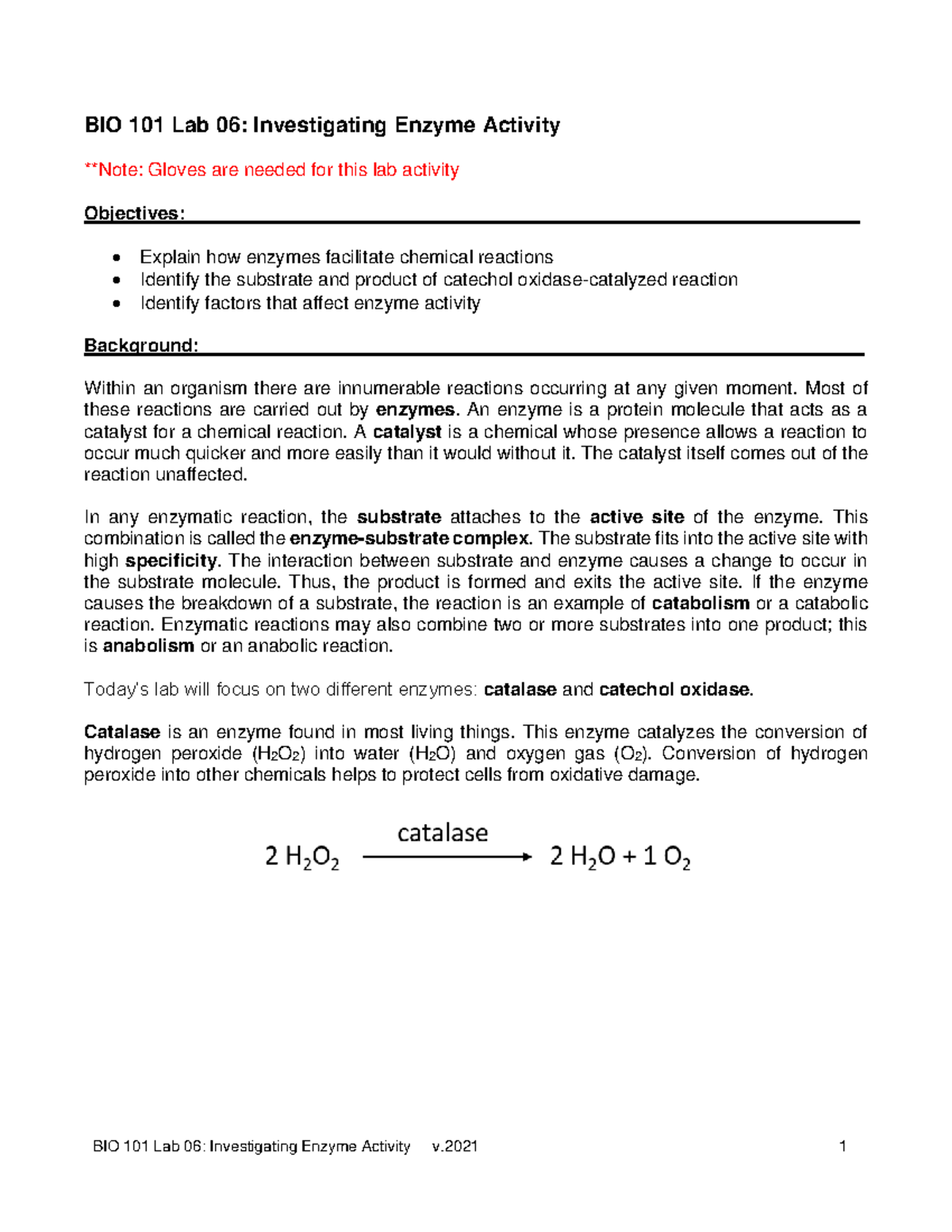 BIO 101 Lab 06: Exploring Enzyme Activity and Factors Affecting It ...