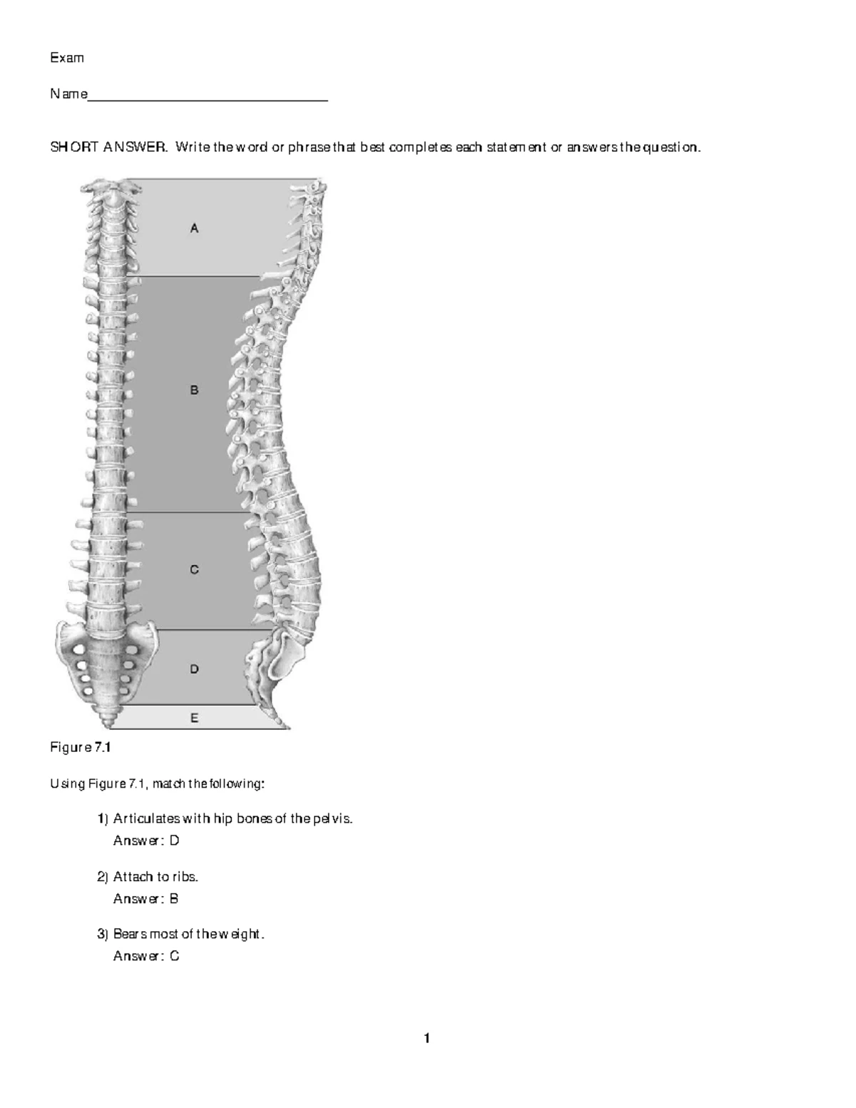 Exam 1 Study Guide - Exam 1 Study Guide Chapter 1: Introduction to the ...