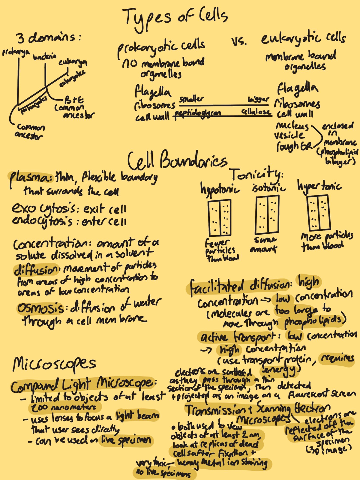 Oxidative Phosphorylation Pogil: Simple Explanations, Complex Results - 3ydenrg
