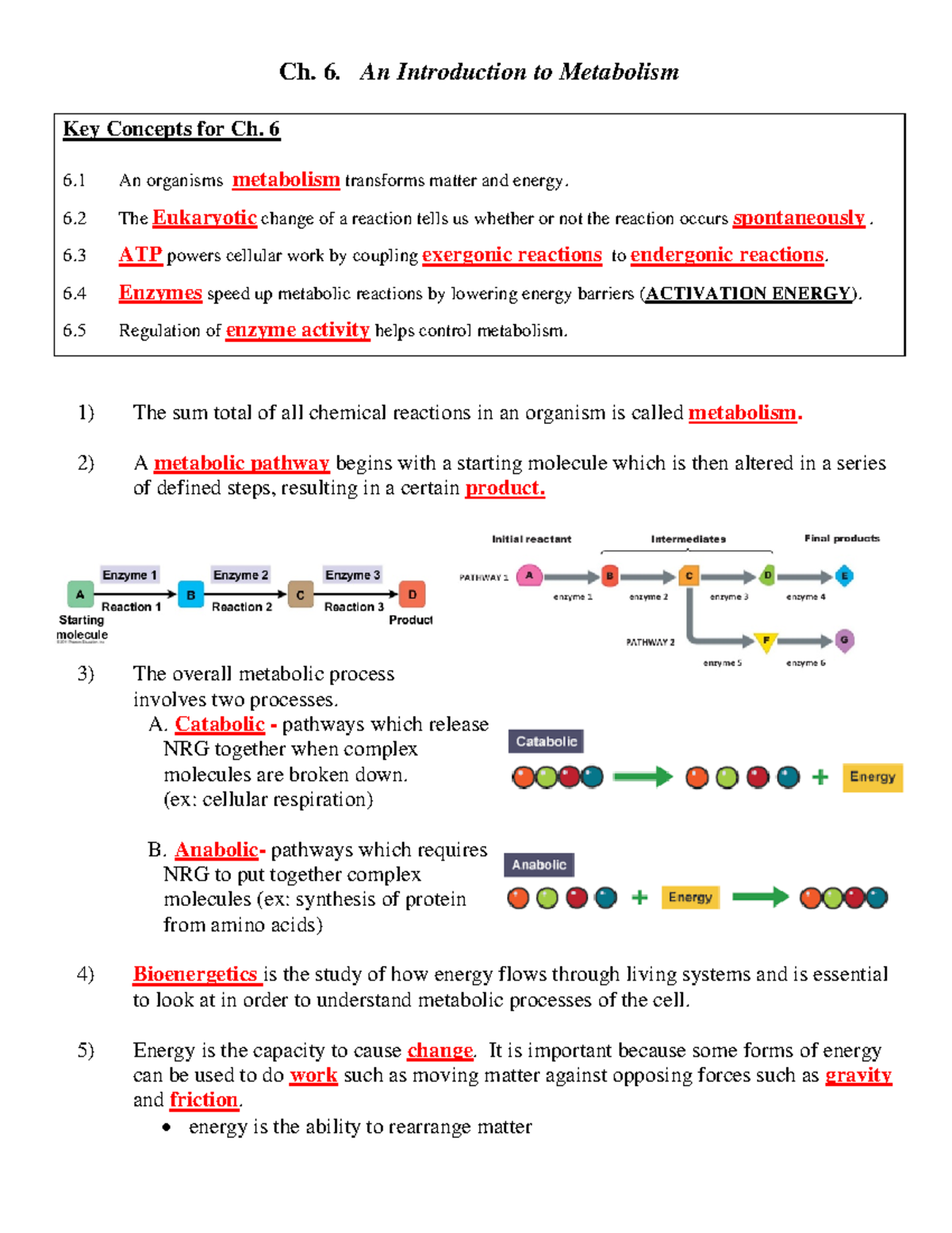 Ch. 06 Study Notes - Understanding Metabolism and Energy Dynamics - Studocu