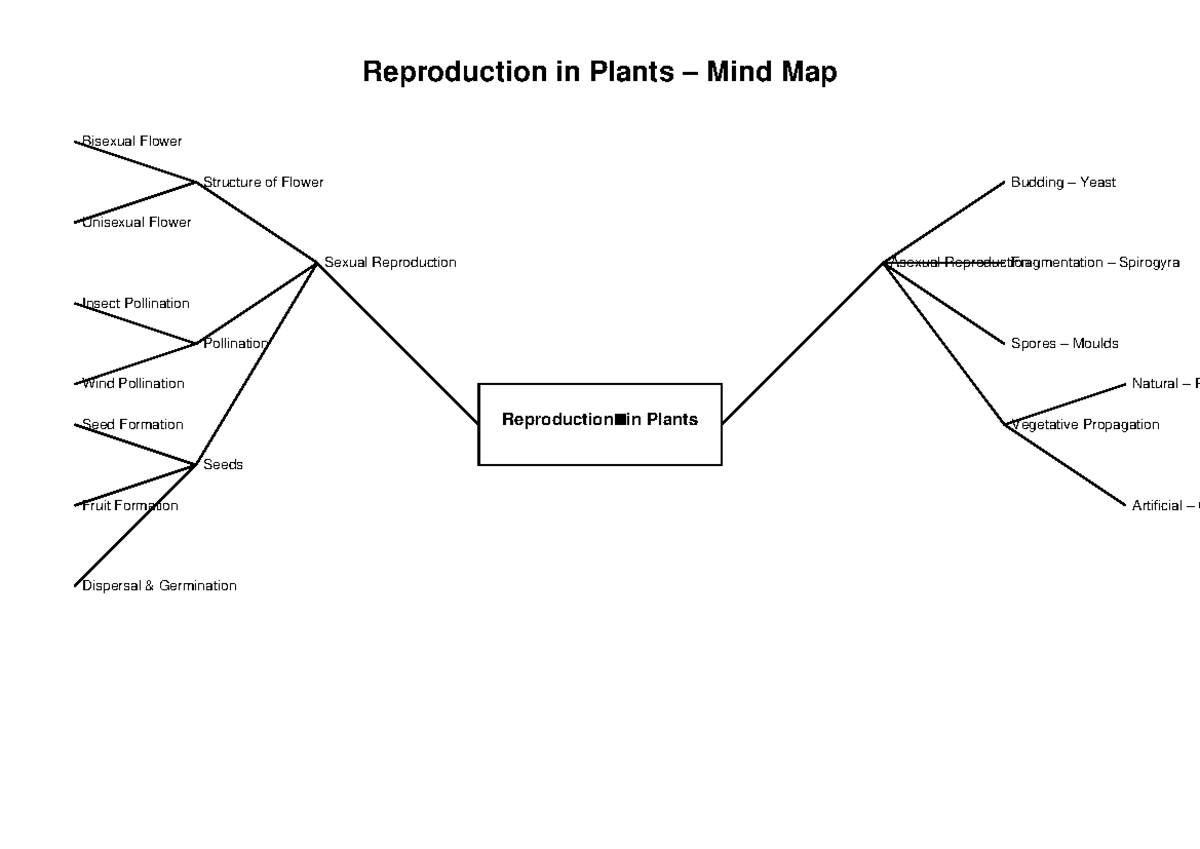 Reproduction in Plants Mind Map - advanced organic chemistry ...
