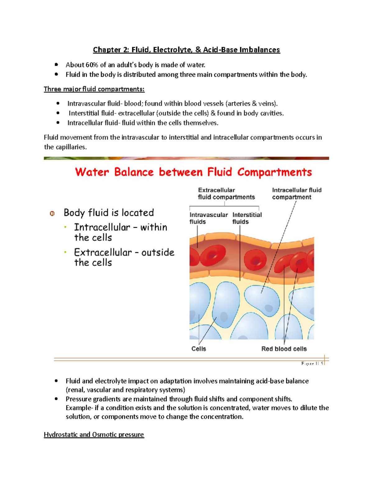 Fluid, Electrolyte & Acid-Base Imbalances - Chapter 2 Overview 