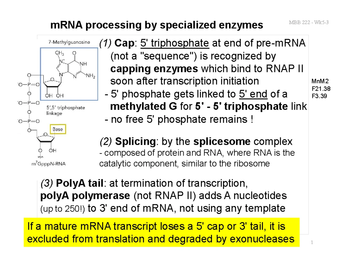 Hemoglobin & Myoglobin: Structure, Function, and Oxygen Binding