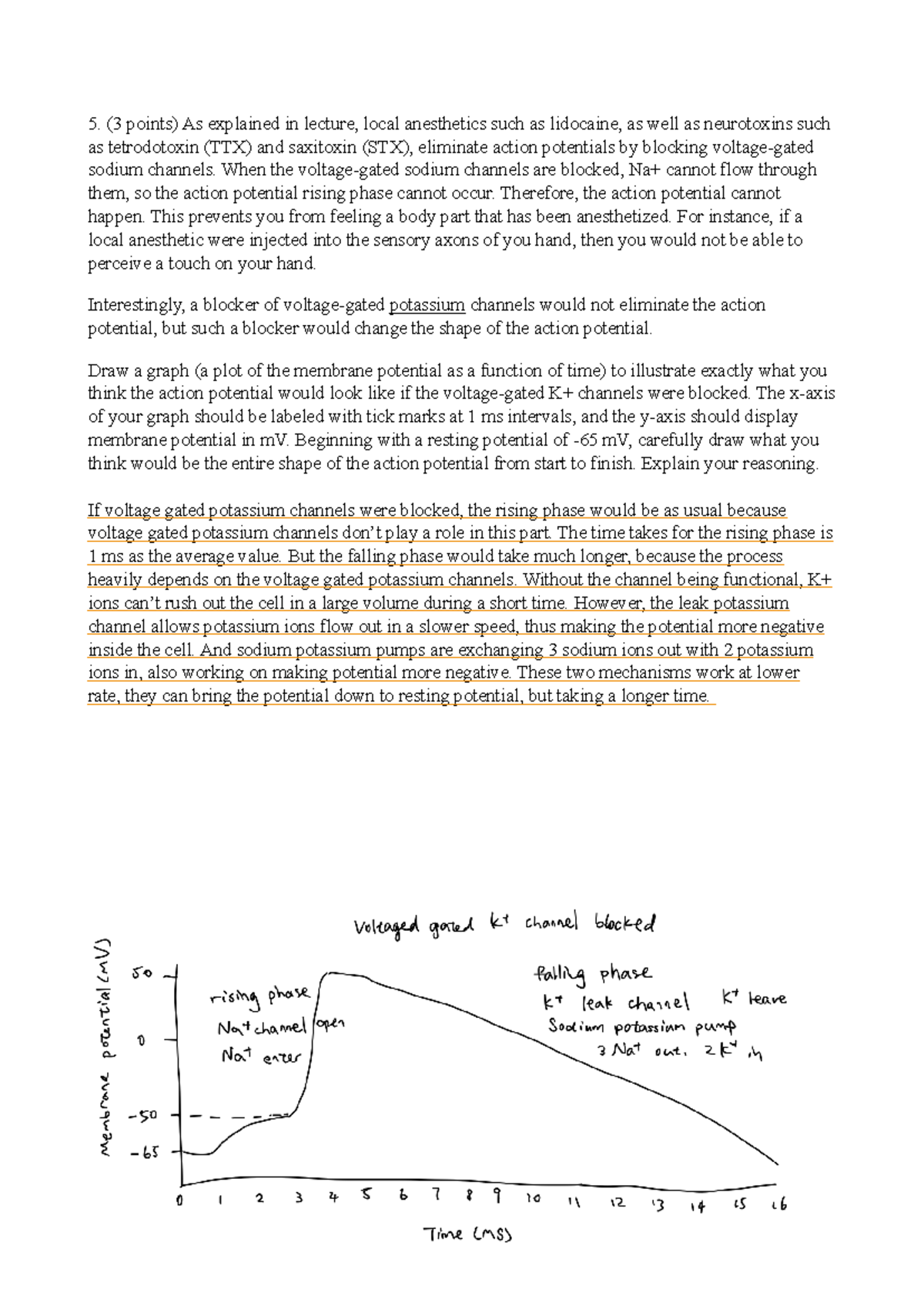 Assignment 2 Q5 - Action Potentials & Ion Channel Blockers - Studocu