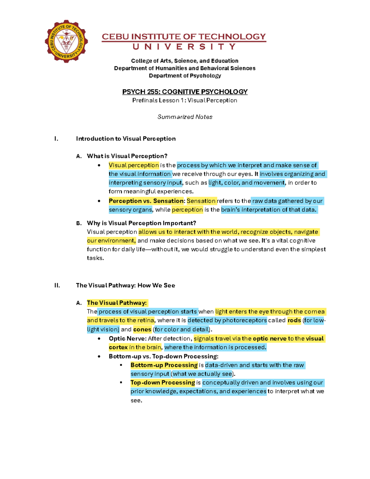Cog Psych PF Lesson 1 Visual Perception Notes - College of Arts ...