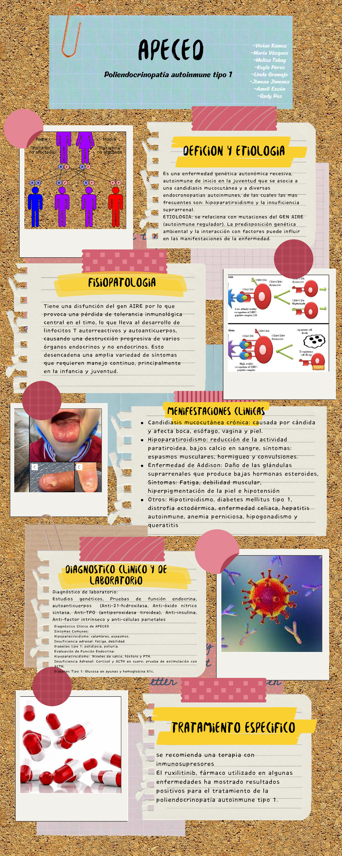 APECED Tipo 1: Definición, Etiología y Manejo Clínico - Studocu