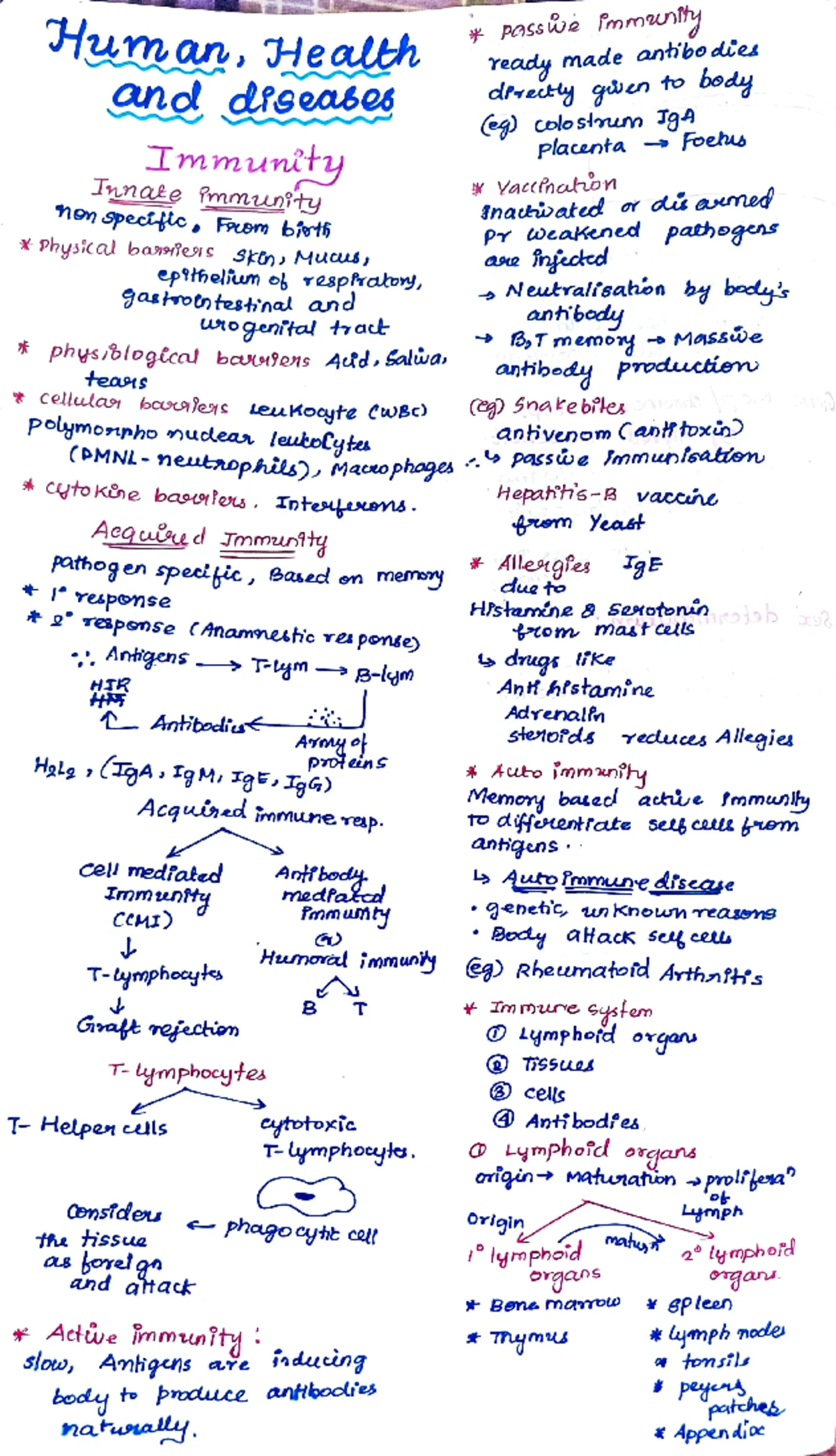 FROG & COCKROACH: ANATOMY AND MORPHOLOGY STUDY NOTES (BIOHACK) - Studocu