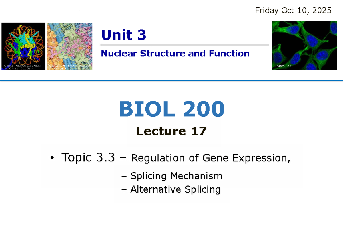 BIOL 200 Lecture 17: Insights on mRNA Splicing & Gene Regulation - Studocu