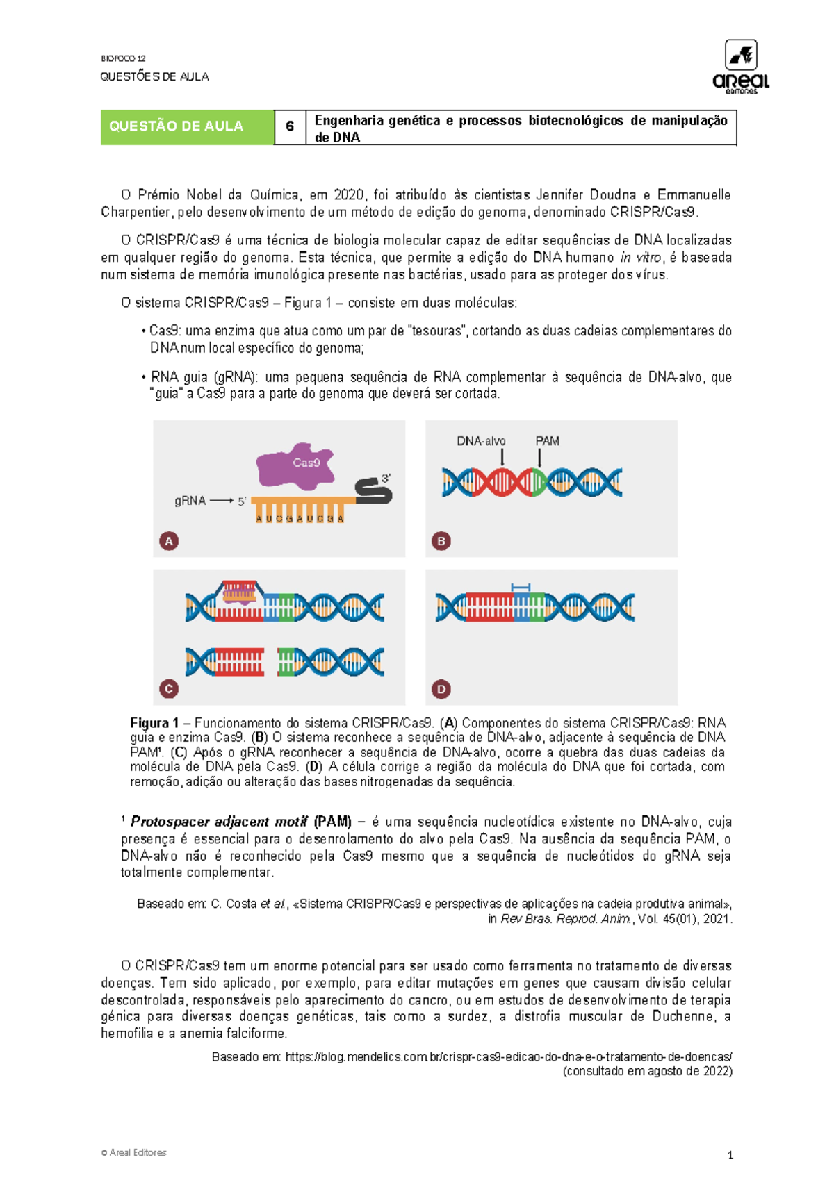 Bio12 QA6 - Engenharia Genética: CRISPR/Cas9 e Biotecnologia do DNA ...