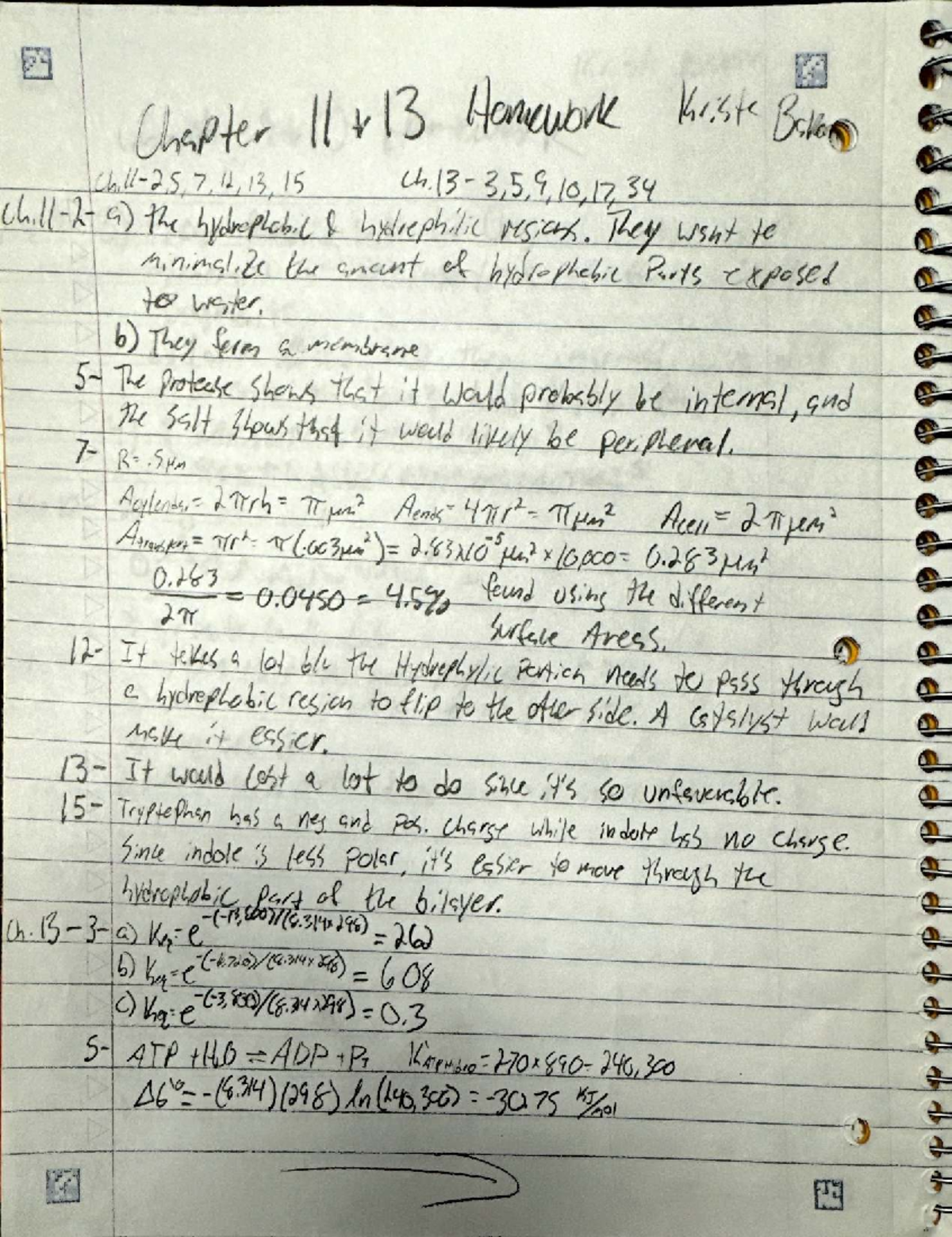 Title is Missing: "Comprehensive Notes for Course XYZ 101 Midterm Exam ...