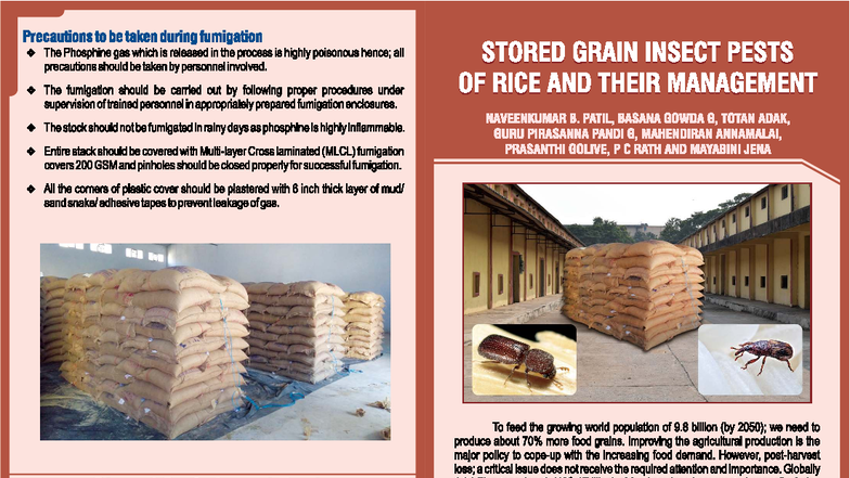 Precautions for Fumigation of Stored Grain Pests (NRRI Tech Bulletin ...