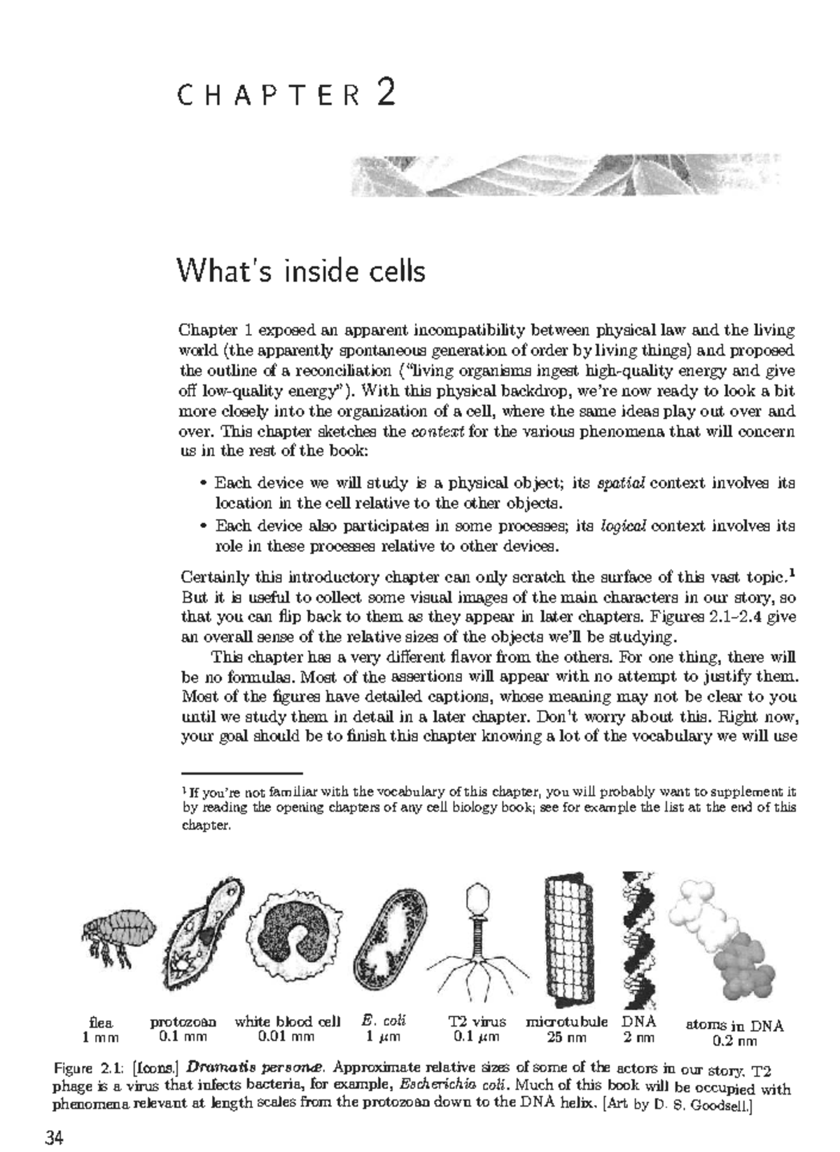Biological Physics (BIO 101): Chapter 2 - Inside Cells Overview - Studocu