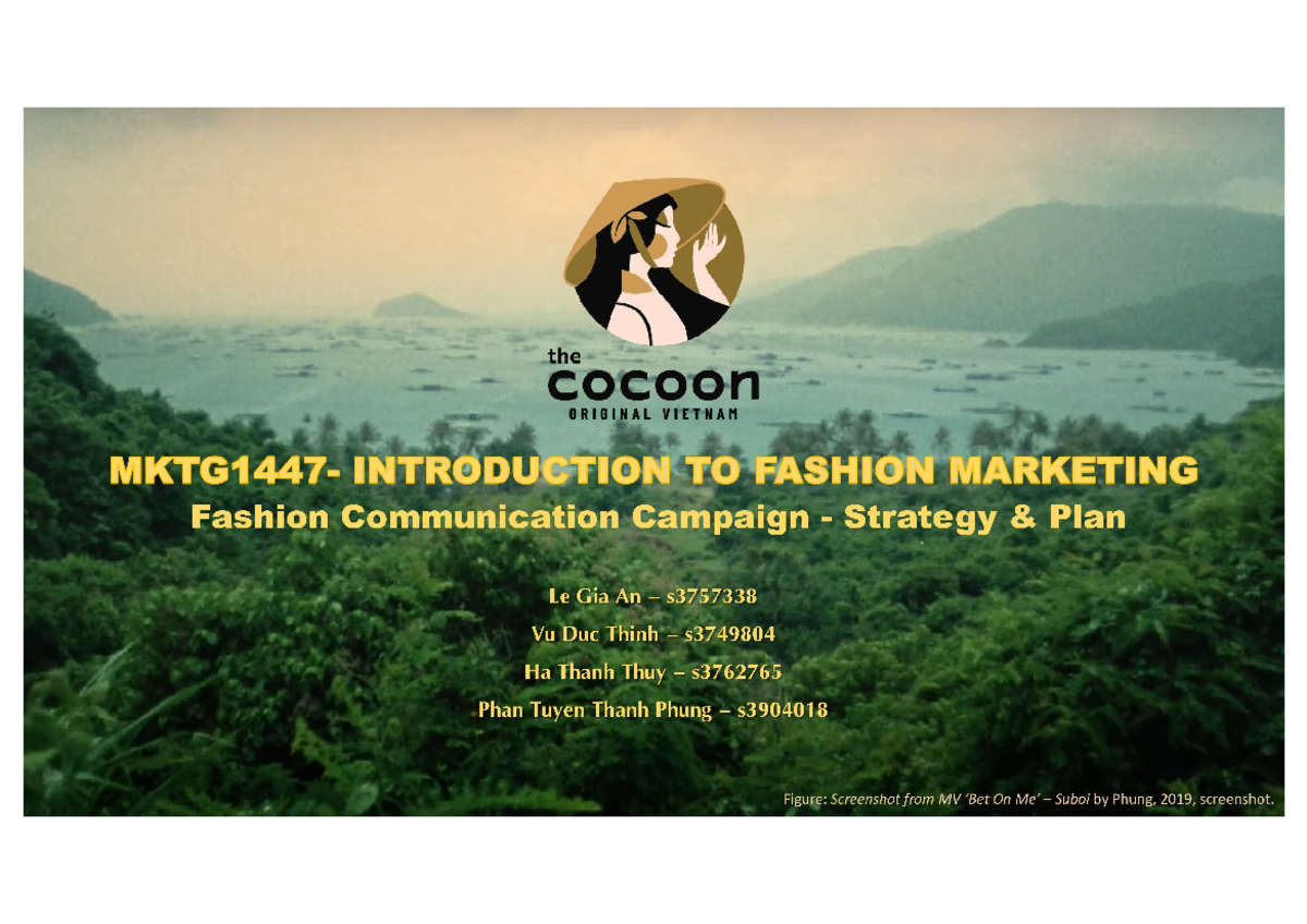 Fashion Marketing Campaign Strategy for Cocoon: Vegan Skincare Insights ...