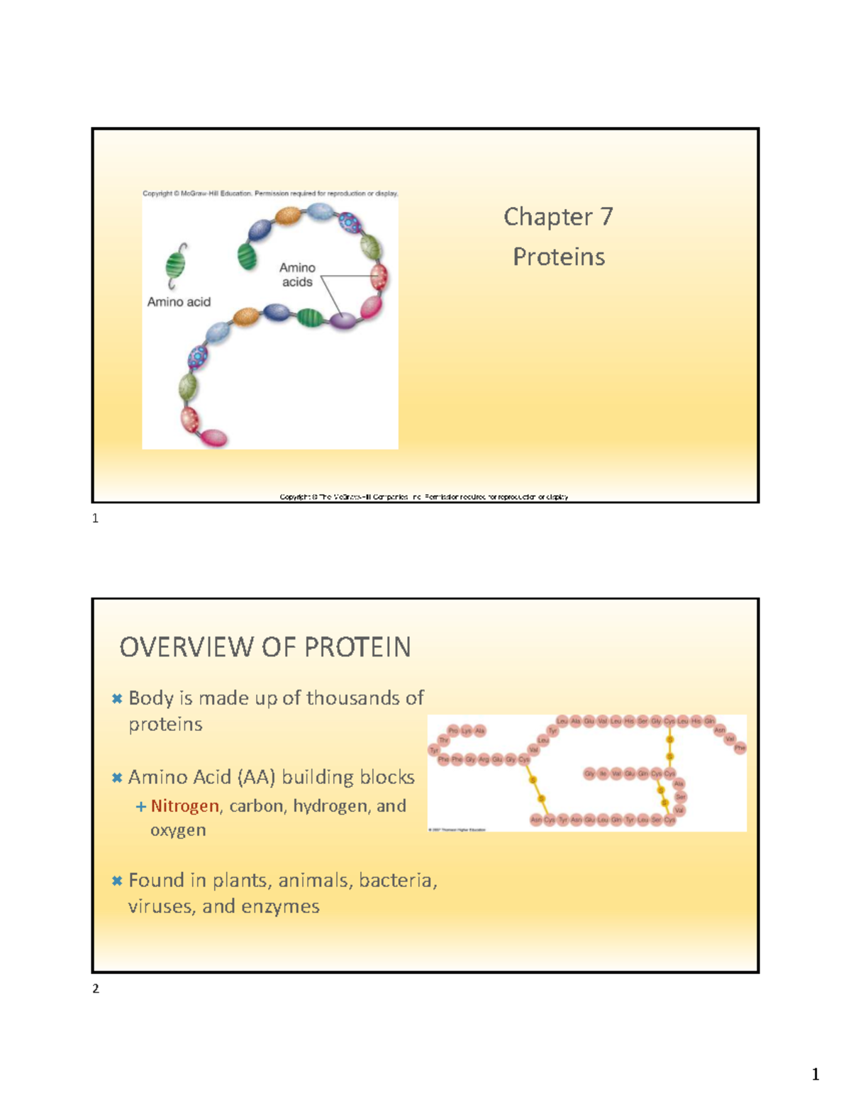 Chapter 7: Proteins Overview and Functions - Studocu