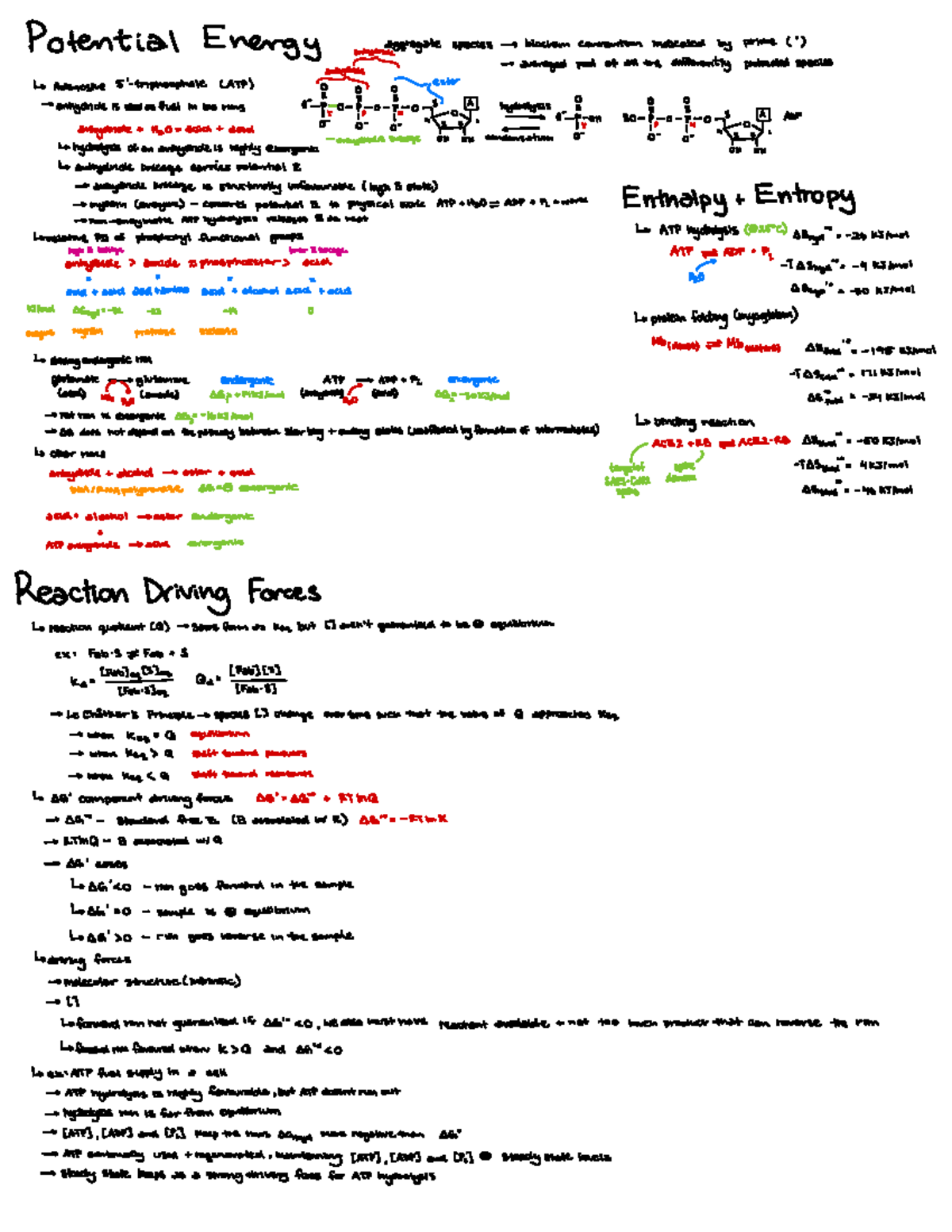 Hemoglobin & Myoglobin: Structure, Function, and Oxygen Binding