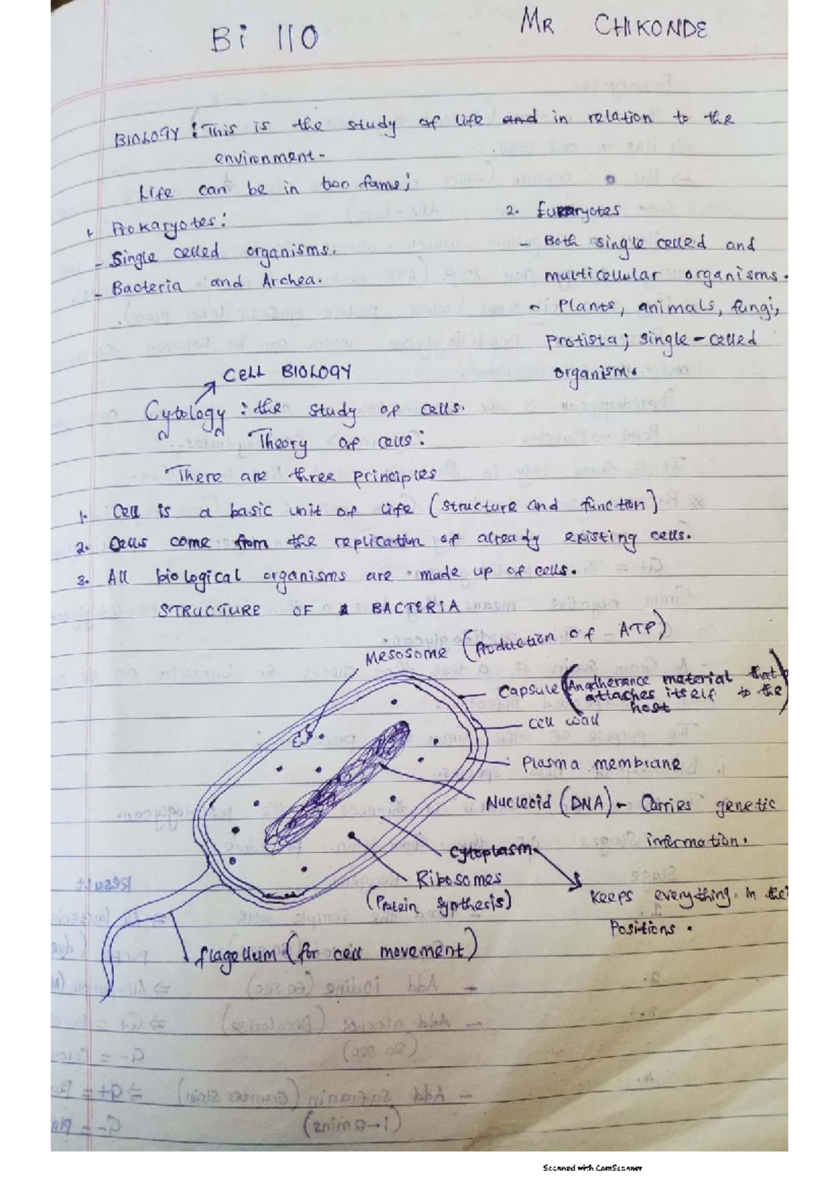 Bi 110 Final Exam Study Notes: Cell Biology and Macromolecules - Studocu