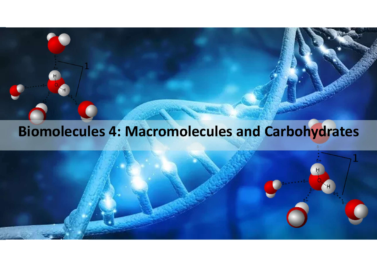 Biomolecules 4: Chapter 5 - Carbohydrates Lecture Notes Summary - Studocu