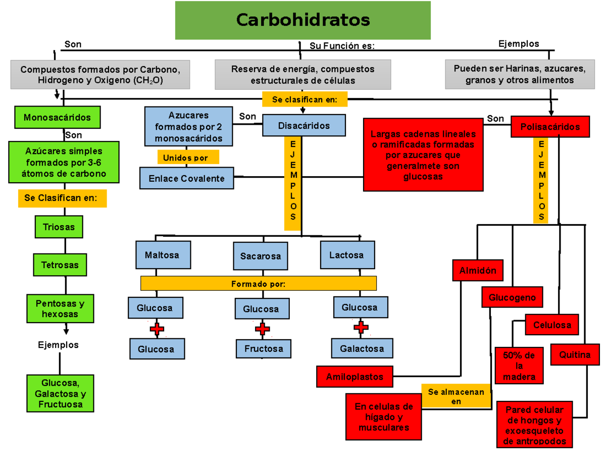 Mapa Conceptual Carbohidratos - Bioquímica y Biología Molecular - UAG