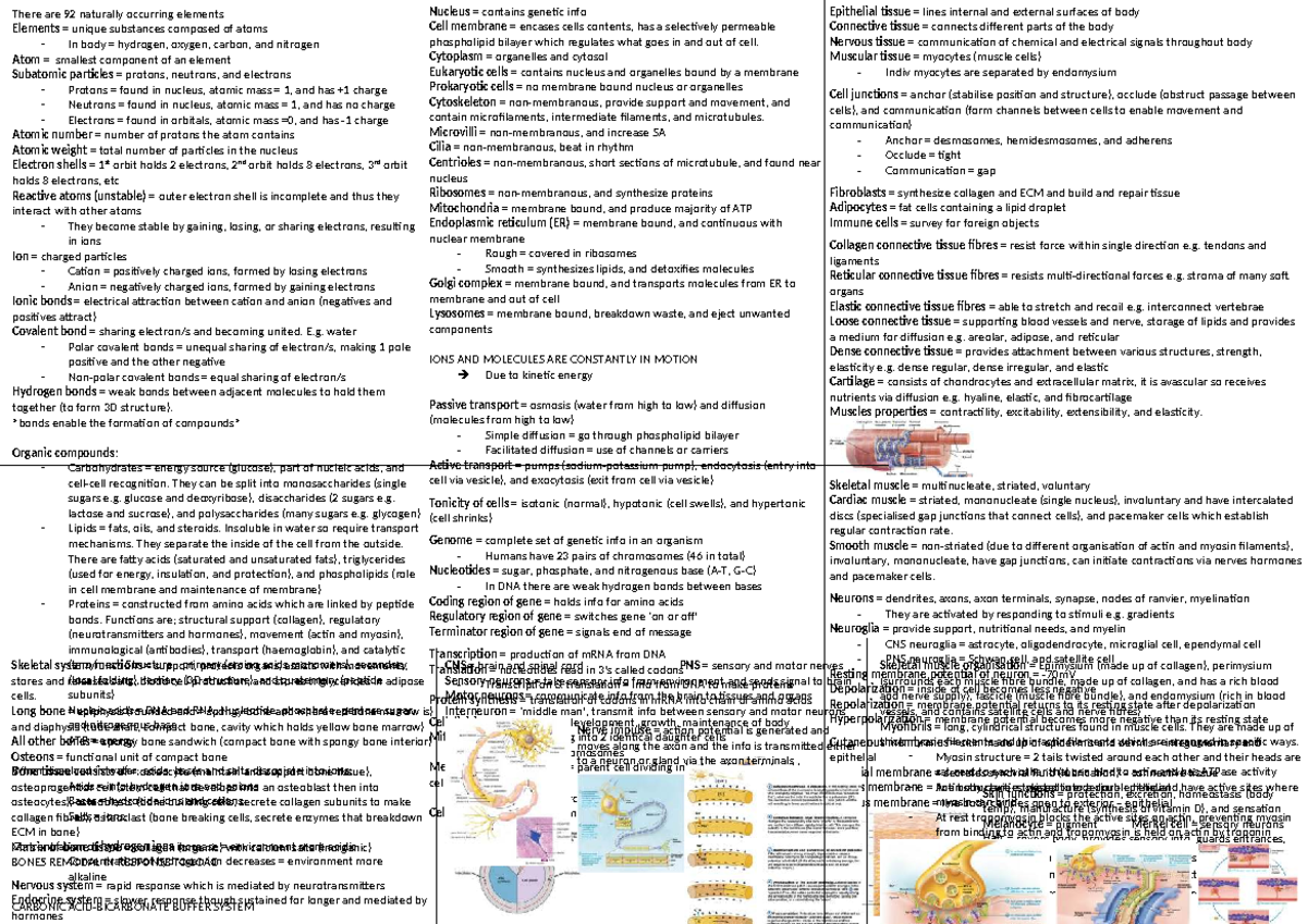 Biology 101: Cheat Sheet on Elements, Atoms, and Cell Structure - Studocu