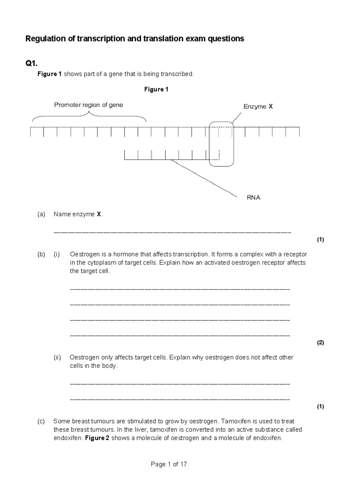 Regulation of Transcription and Translation Exam Questions (Q1-Q6 ...