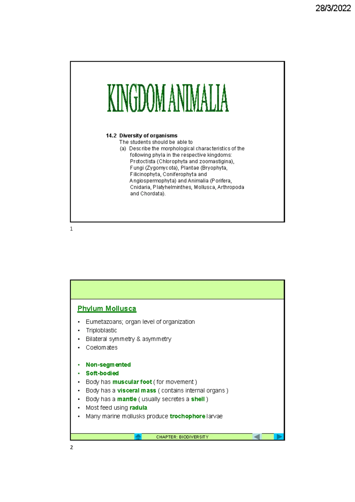 14.2 Diversity of Organisms: Cnidaria (Animalia) Notes for Study - Studocu