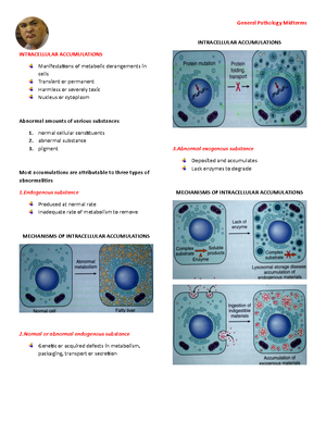 Microtomy - HSTCYT1 LCE SECTIONING / MICROTOMY HISTOPATH – LEC ...