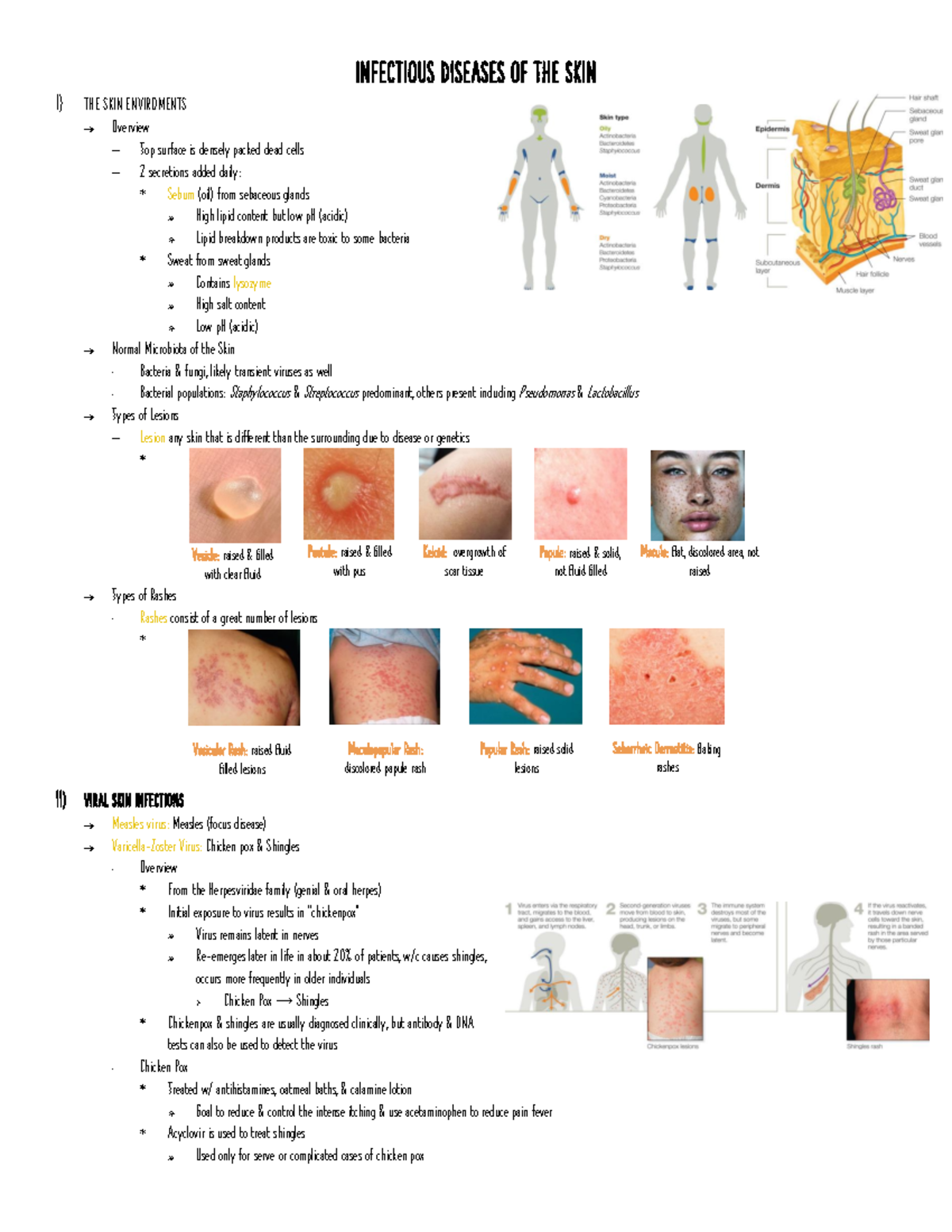 Skin infection - physiology of integumentary system - INFECTIOUS ...