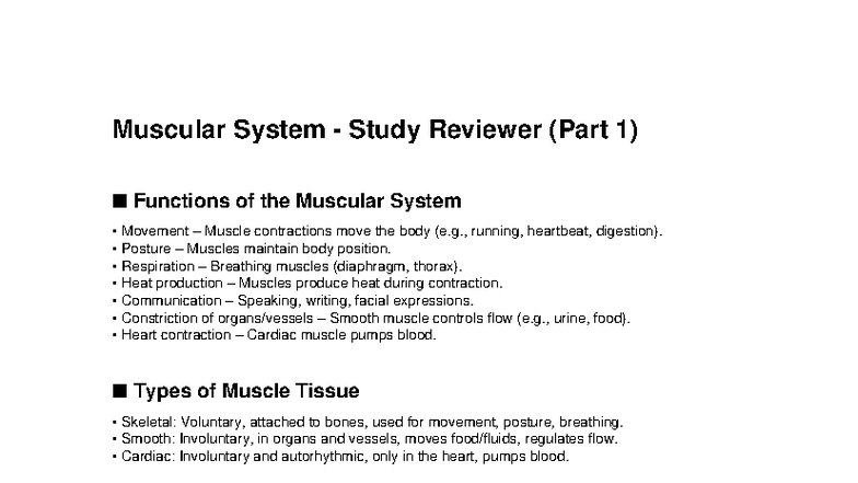 Muscular System Study Reviewer (Part 1): Functions & Anatomy - Studocu