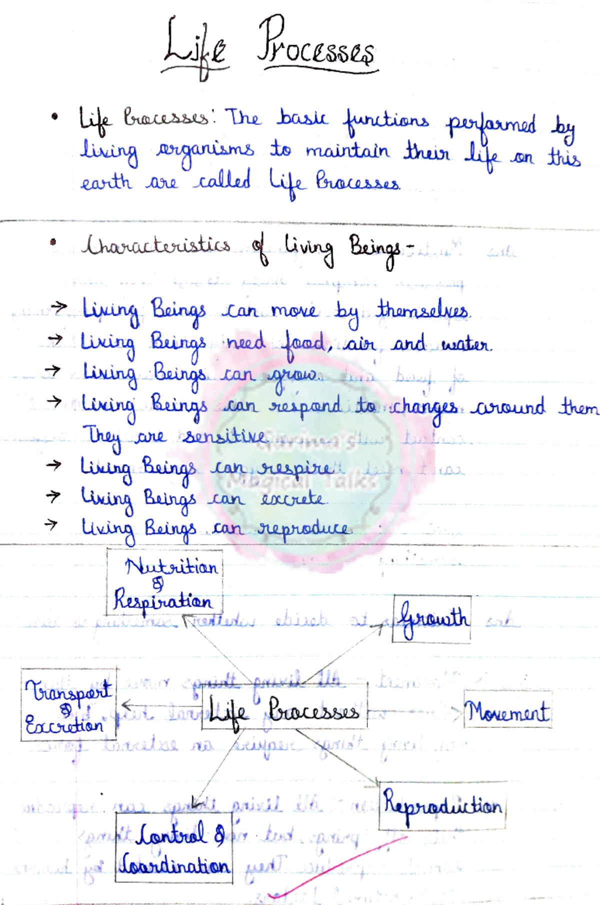 Life Processes in Organisms: Understanding Nutrition and Digestion ...