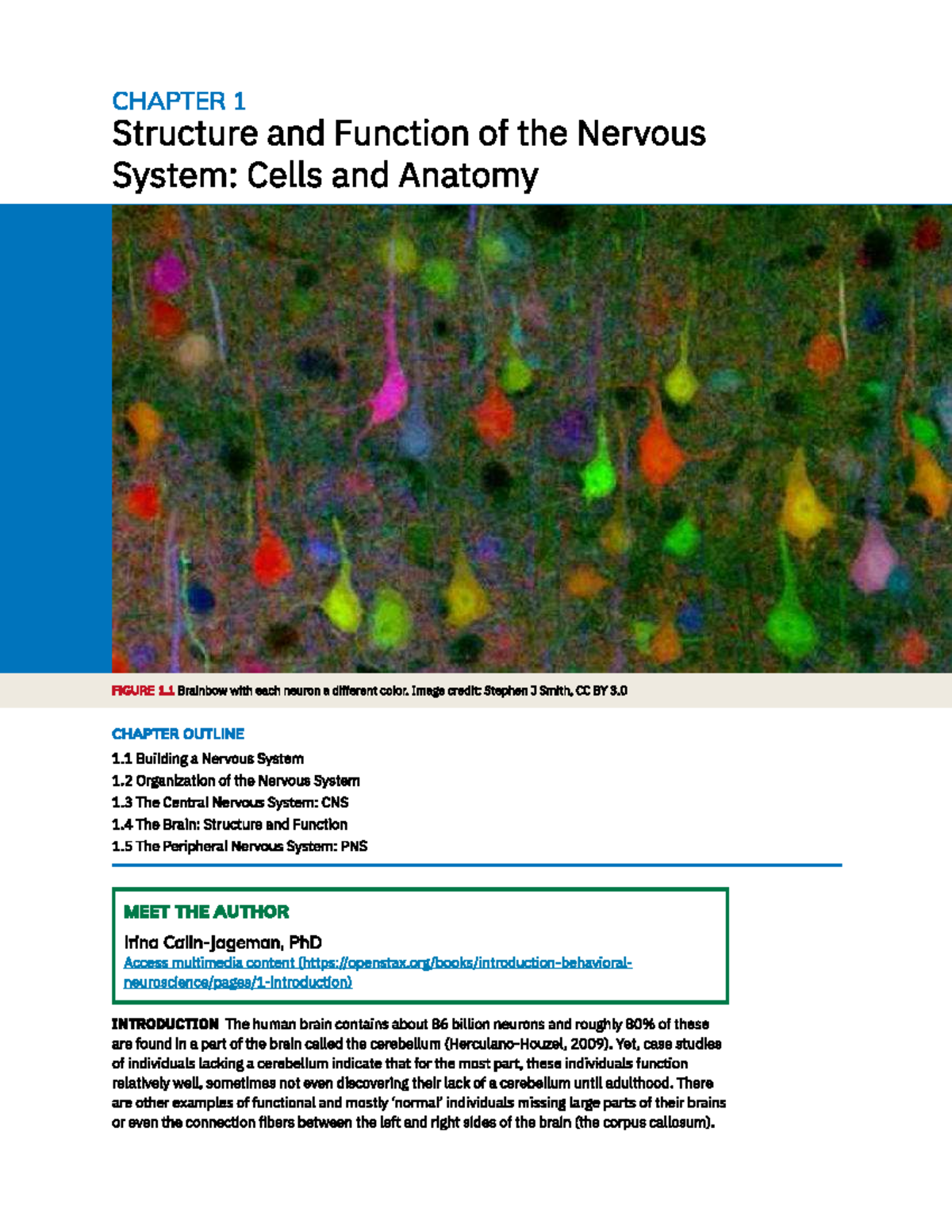 CHAPTER 1: Structure and Function of the Nervous System (CNS & PNS ...
