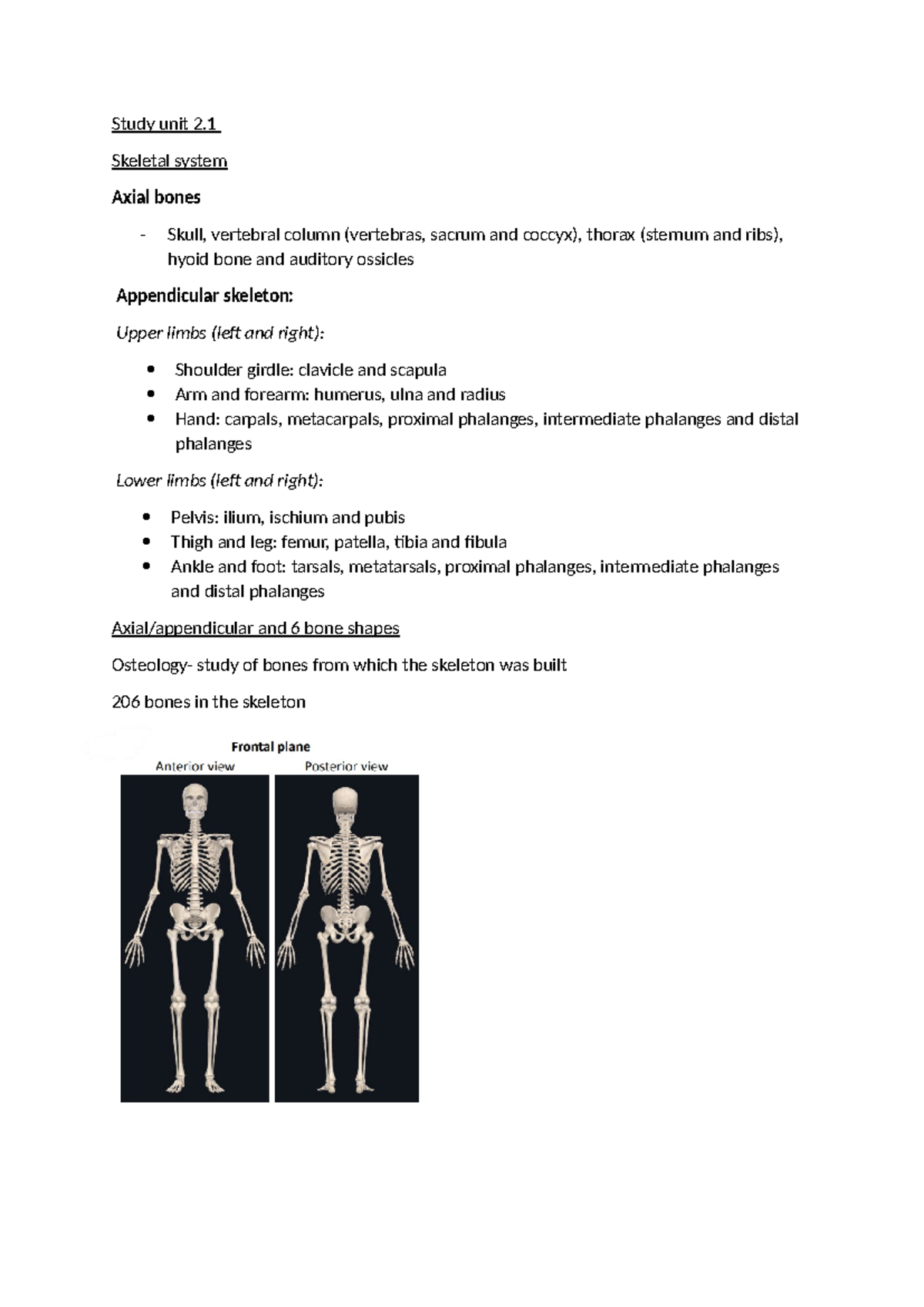 Study Unit 2.1: Overview of the Skeletal System and Bone Types - Studocu