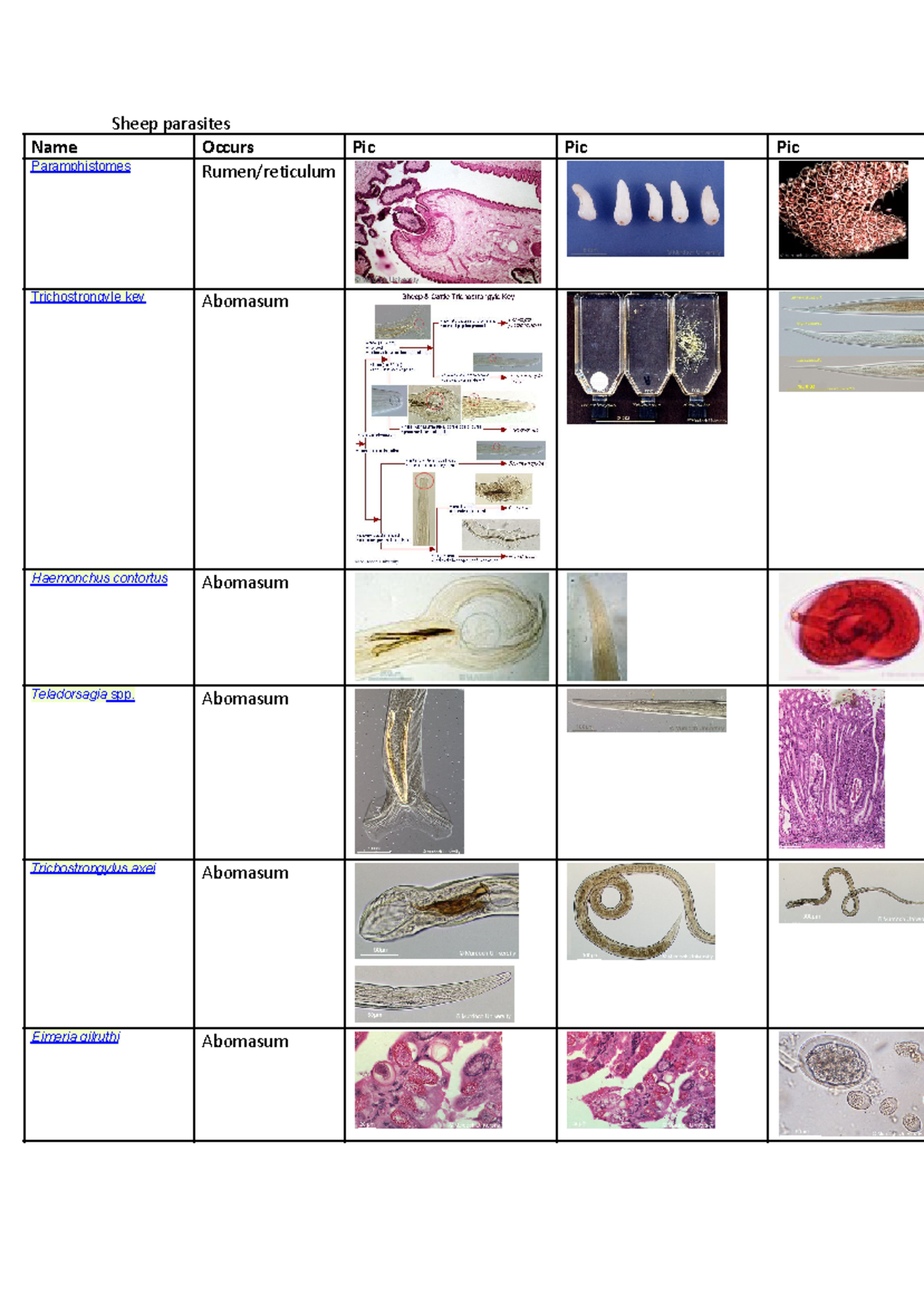 Sheep parasites - Sheep parasites Name Occurs Pic Pic Pic ...