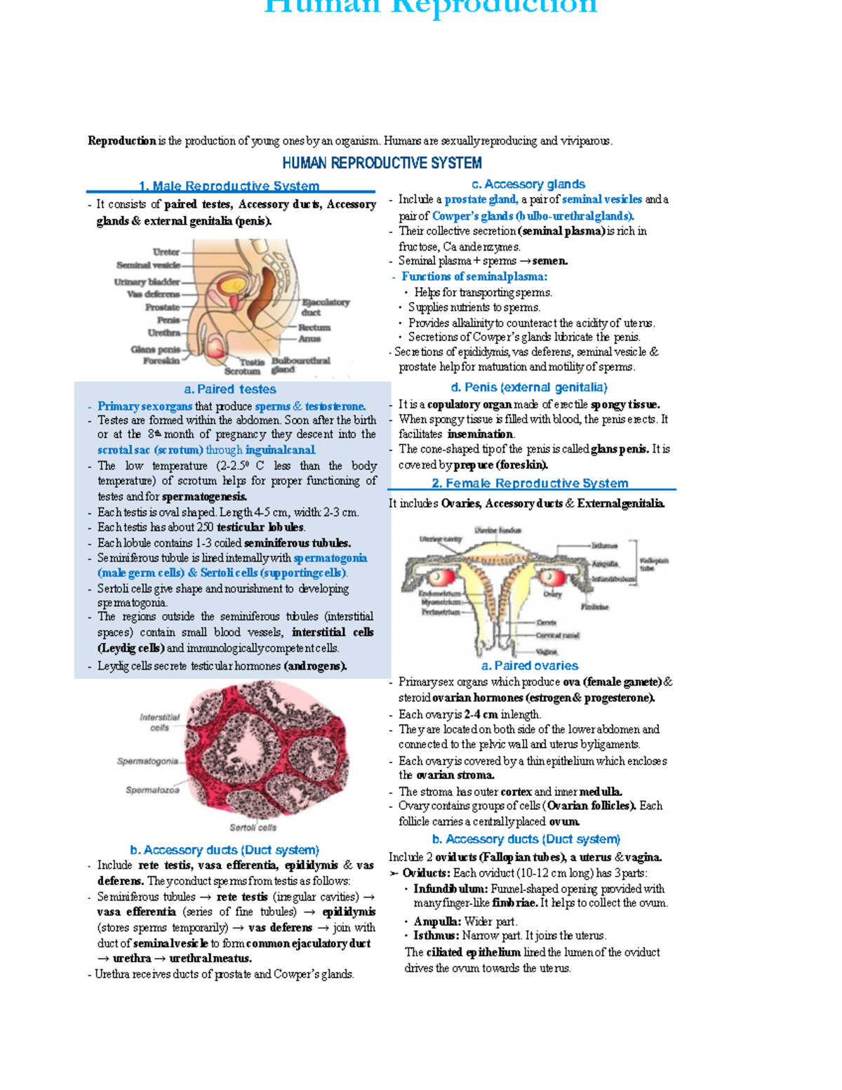 CH2 Notes - ####### Reproduction is the production of young ones by an ...