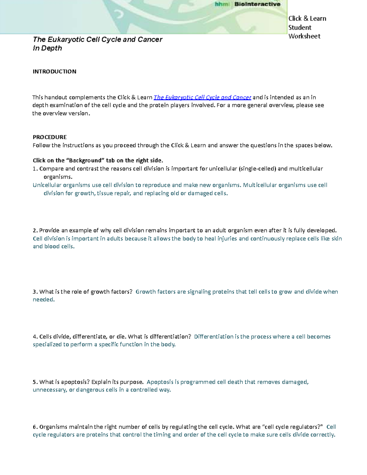 Cell Cycle and Cancer: In-Depth Student Worksheet (CL) - Studocu
