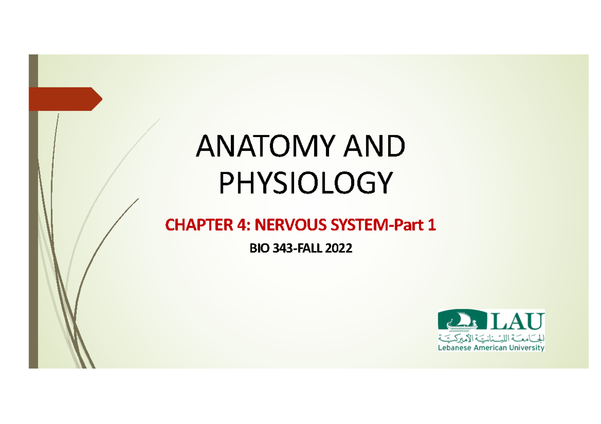BIO 343 - Chapter 4: Nervous System - Part 1 Overview and Functions ...