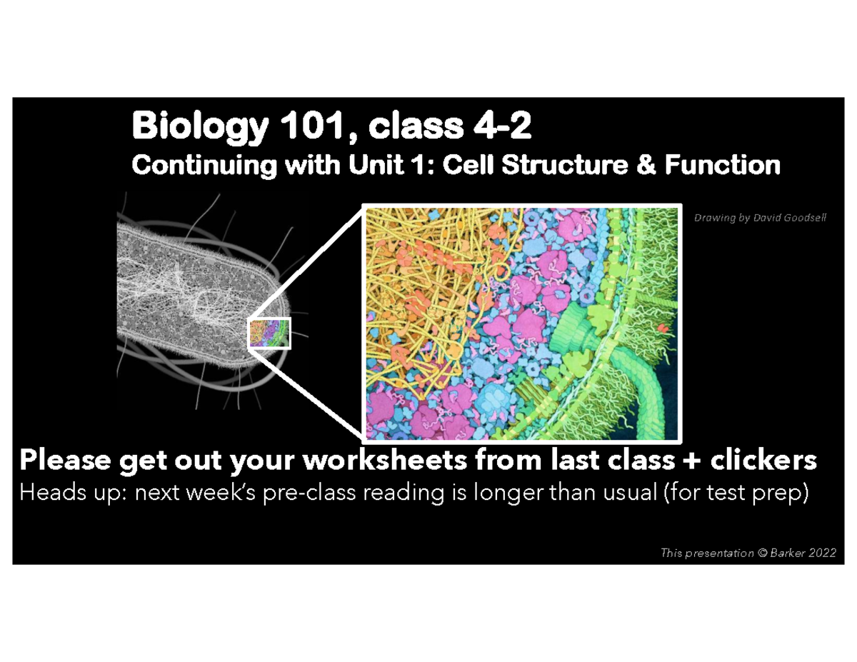Biology 101: Final Exam Review on Protein Structure & Function - Studocu