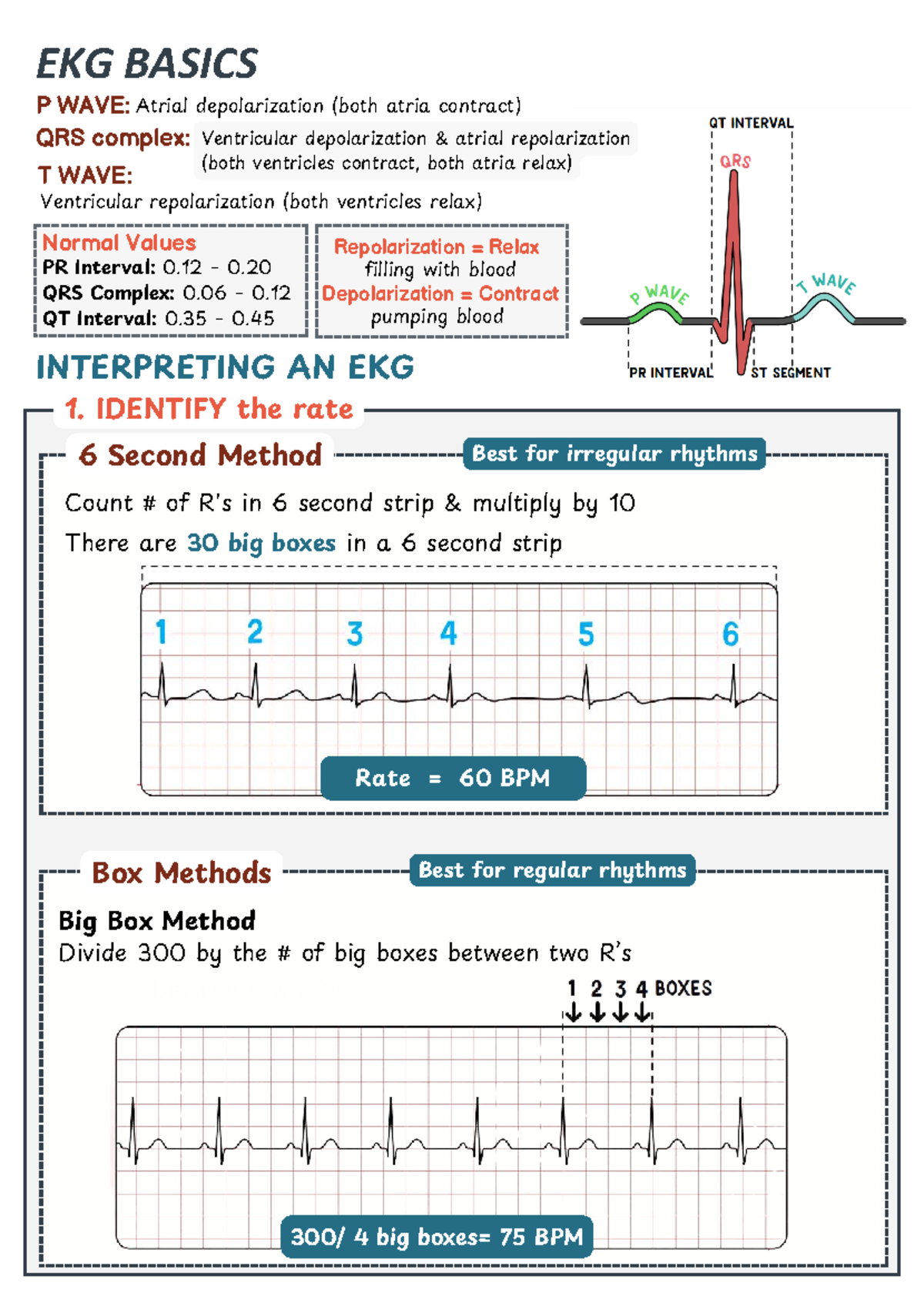 EKG Basics & Interpretation Techniques - Med Course Notes - Studocu