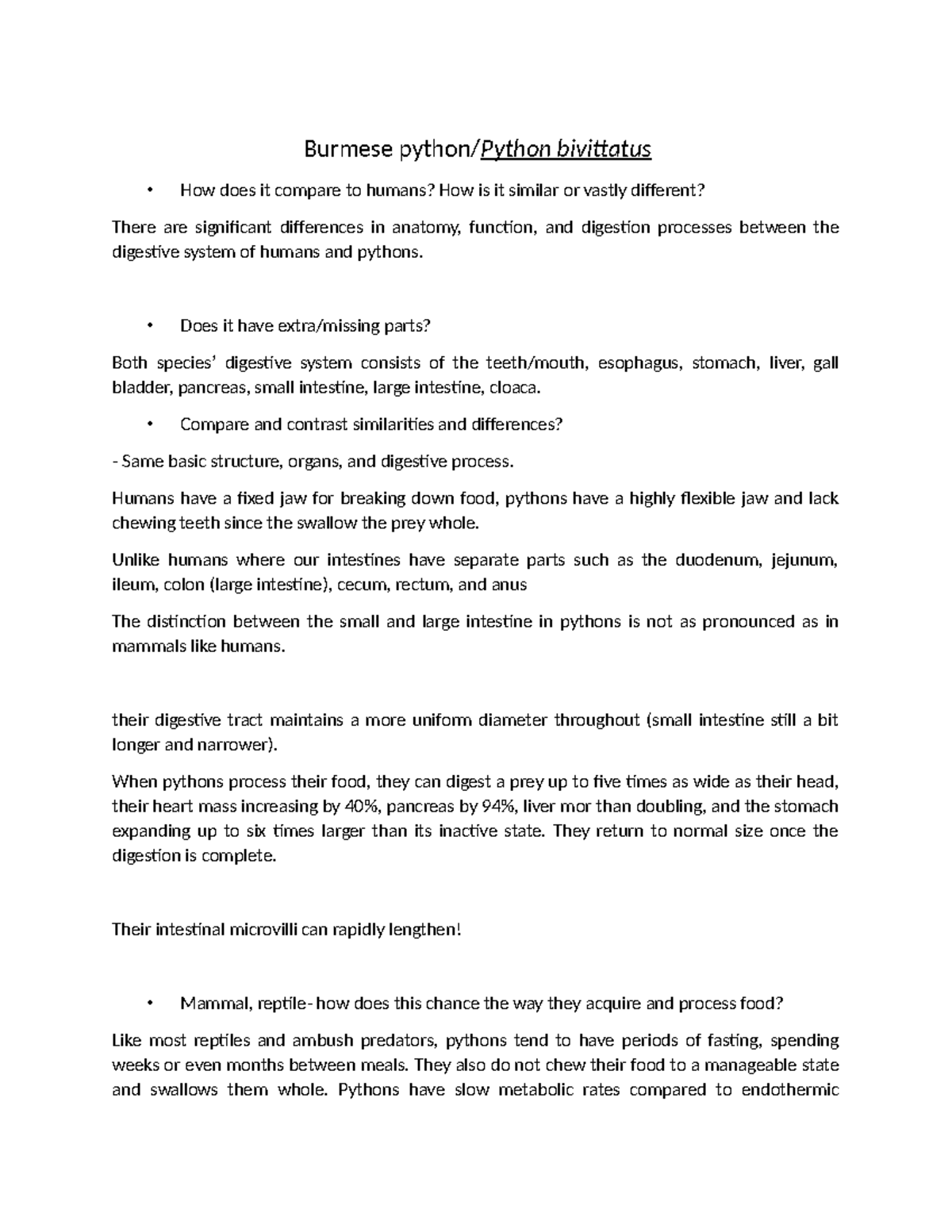Burmese Python vs. Human Digestion: A Comparative Study in Ruby SEO ...