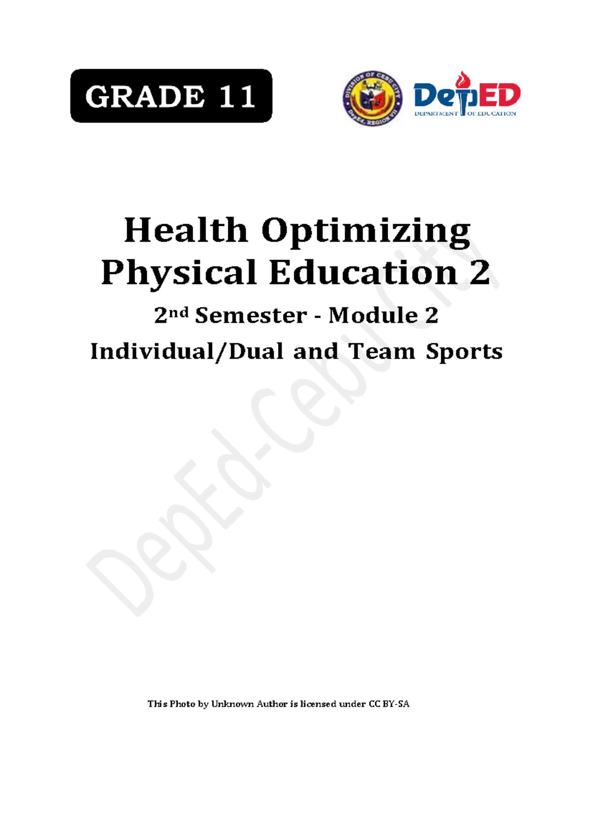HOPE 2 2nd Sem Module 2: Team Sports & Injury Prevention - Studocu