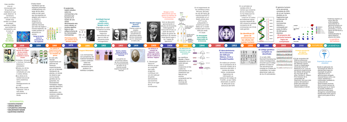 Línea de tiempo de la Evolución Genética: Años Clave y Descubrimientos - Document Preview