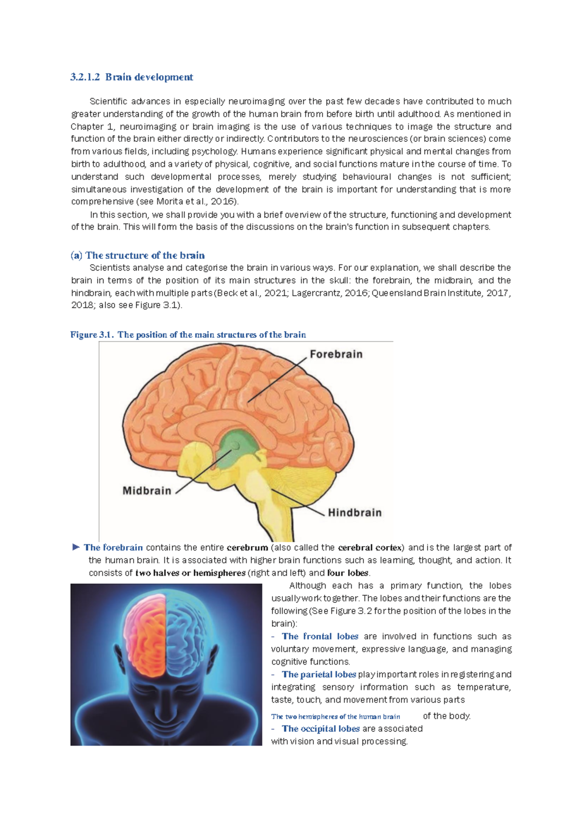 PYC2612 - Brain Development Overview and Key Concepts - Studocu