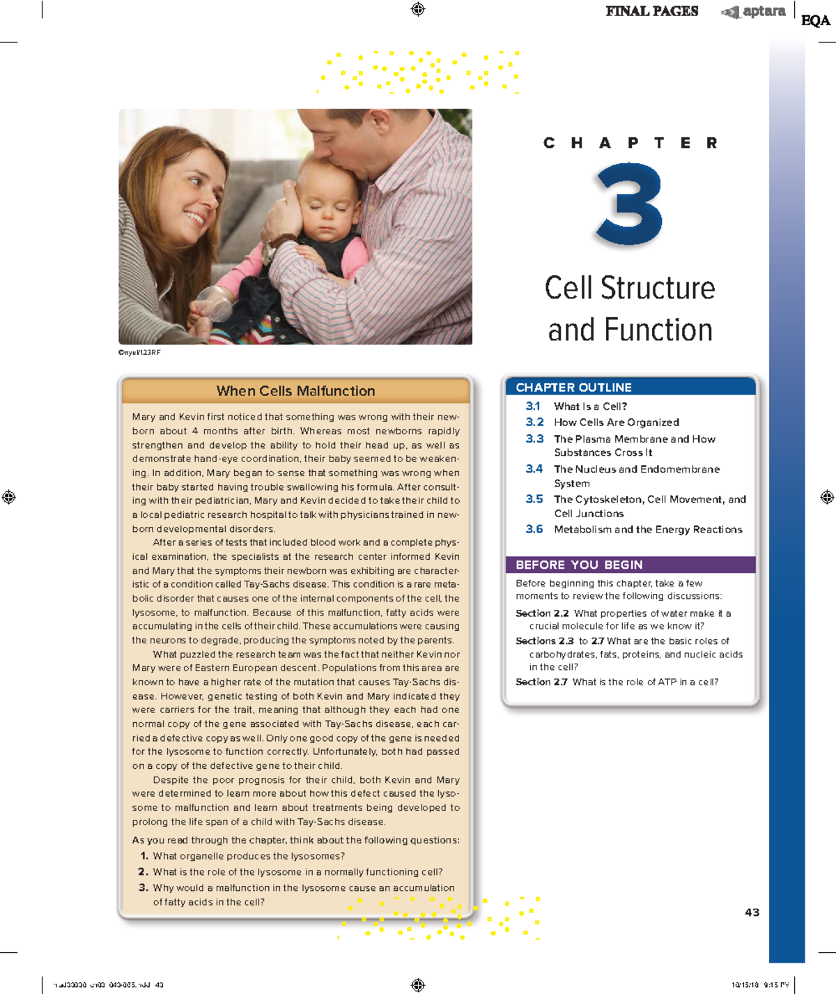 Chapter 3: Cell Structure and Function - Understanding Cellular ...