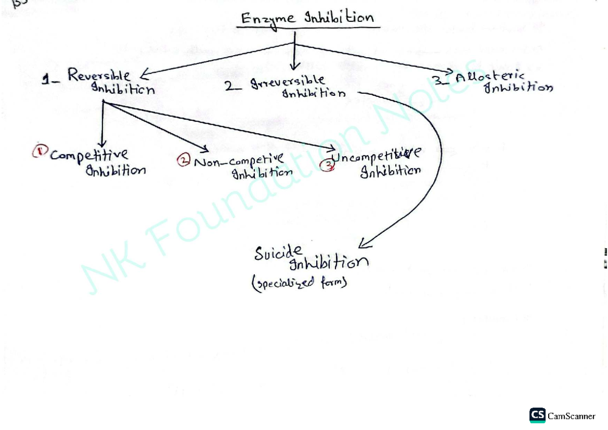 Enzyme Inhibition Concepts: Reversible & Irreversible Types (CS) - Studocu