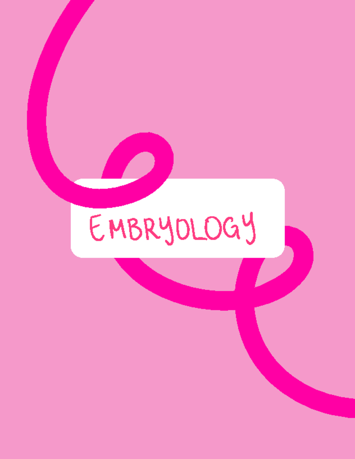 Embryology Notes 1: Stages of Development and Gametogenesis Insights ...