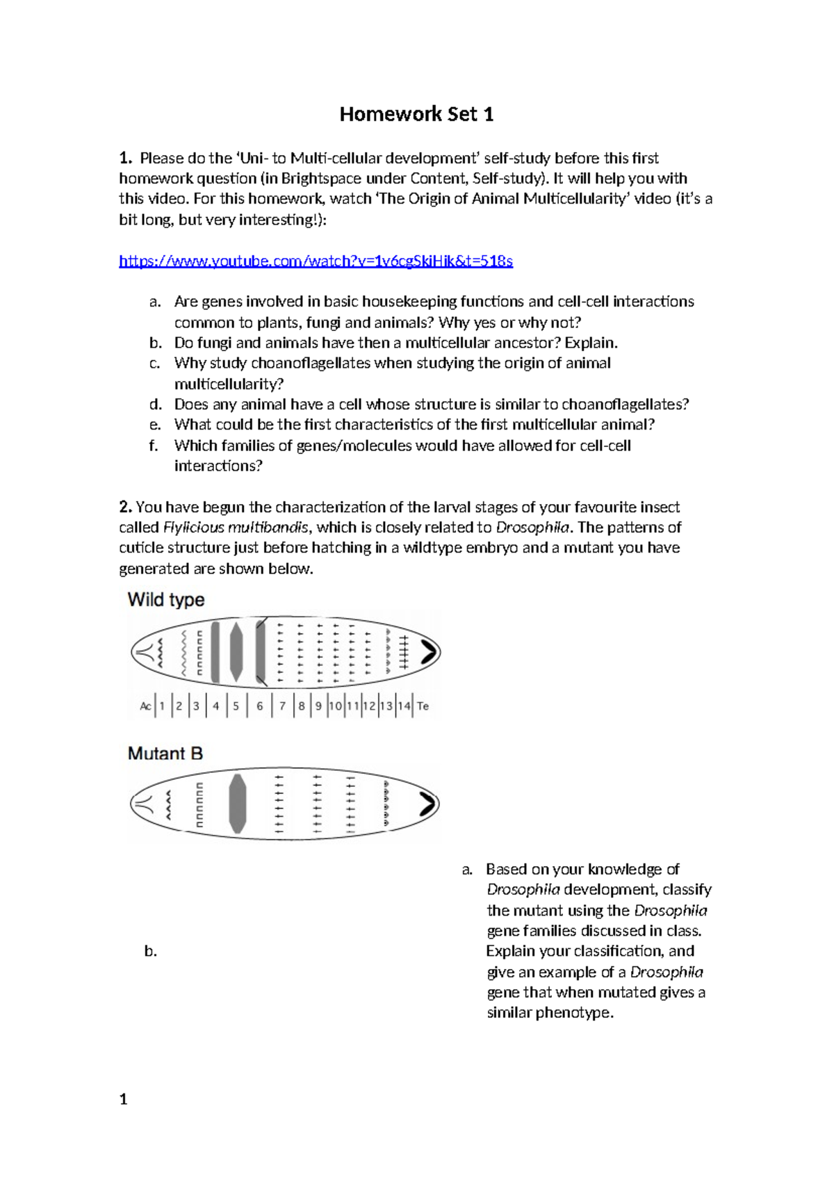 Biology 101: Homework Set 1 - Animal Origins & Development - Studeersnel