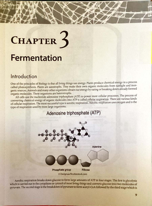 [Solved] Find the slope of the line that passes through 1 9 and 9 6 ...