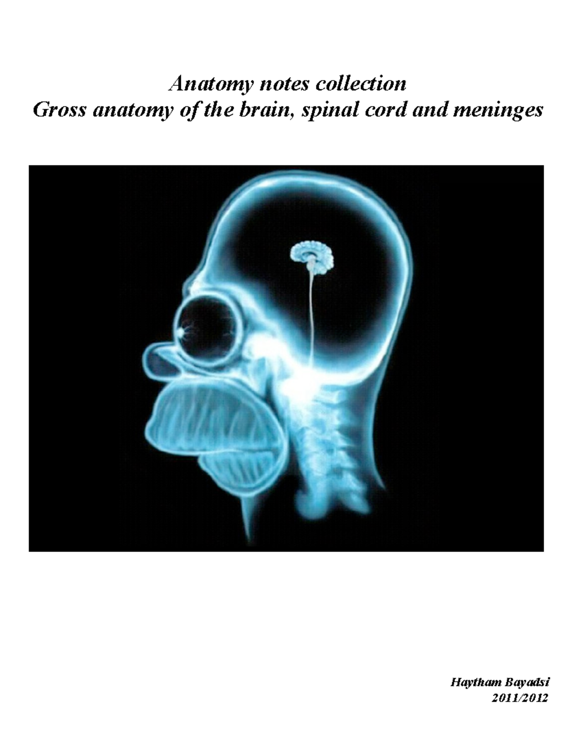 Gross Anatomy of the Brain, Spinal Cord, and Meninges - 2011 Notes ...